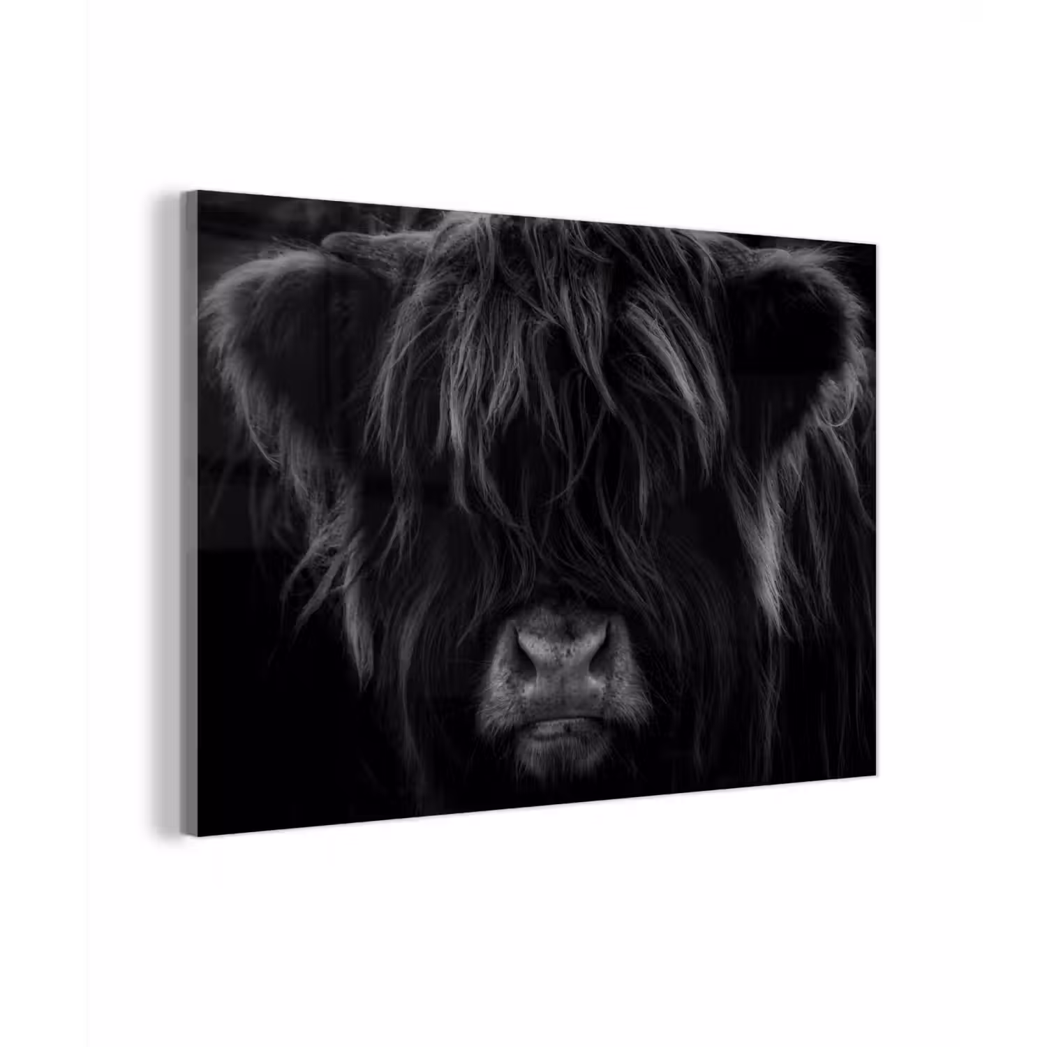 Schotse hooglander - Koe - Zwart - Wit - Dieren plexiglas 5mm klein -zzzproduct_nieuw