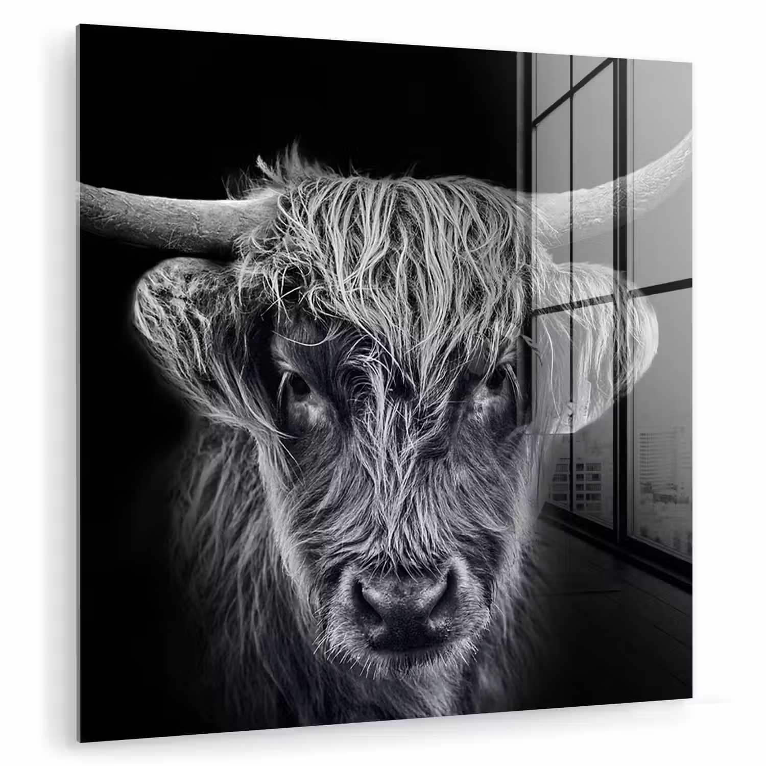 Schotse hooglander - Zwart - Koe - Dieren plexiglas 5mm klein -zzzproduct_nieuw