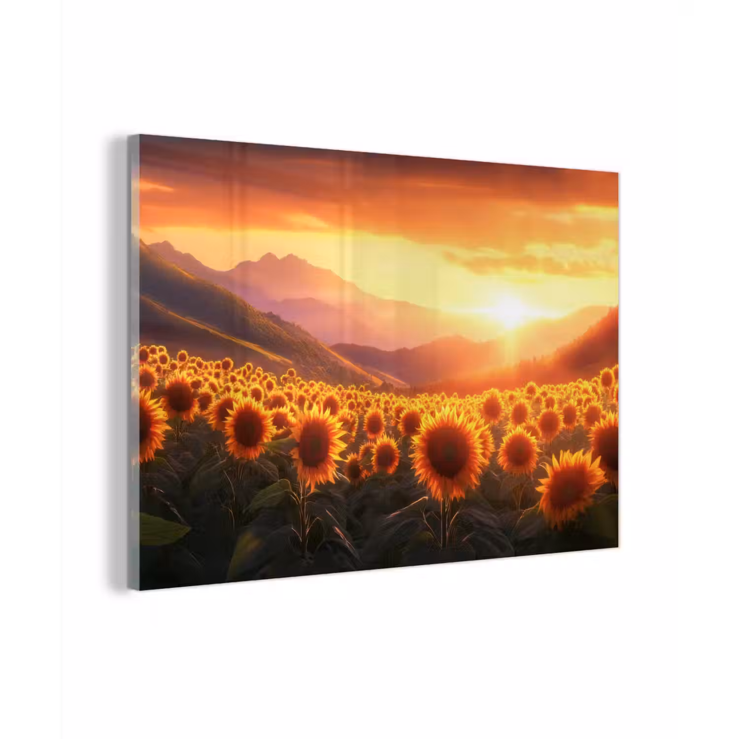 Zonnebloemen - Zonsondergang - Landschap plexiglas 5mm klein -zzzproduct_nieuw