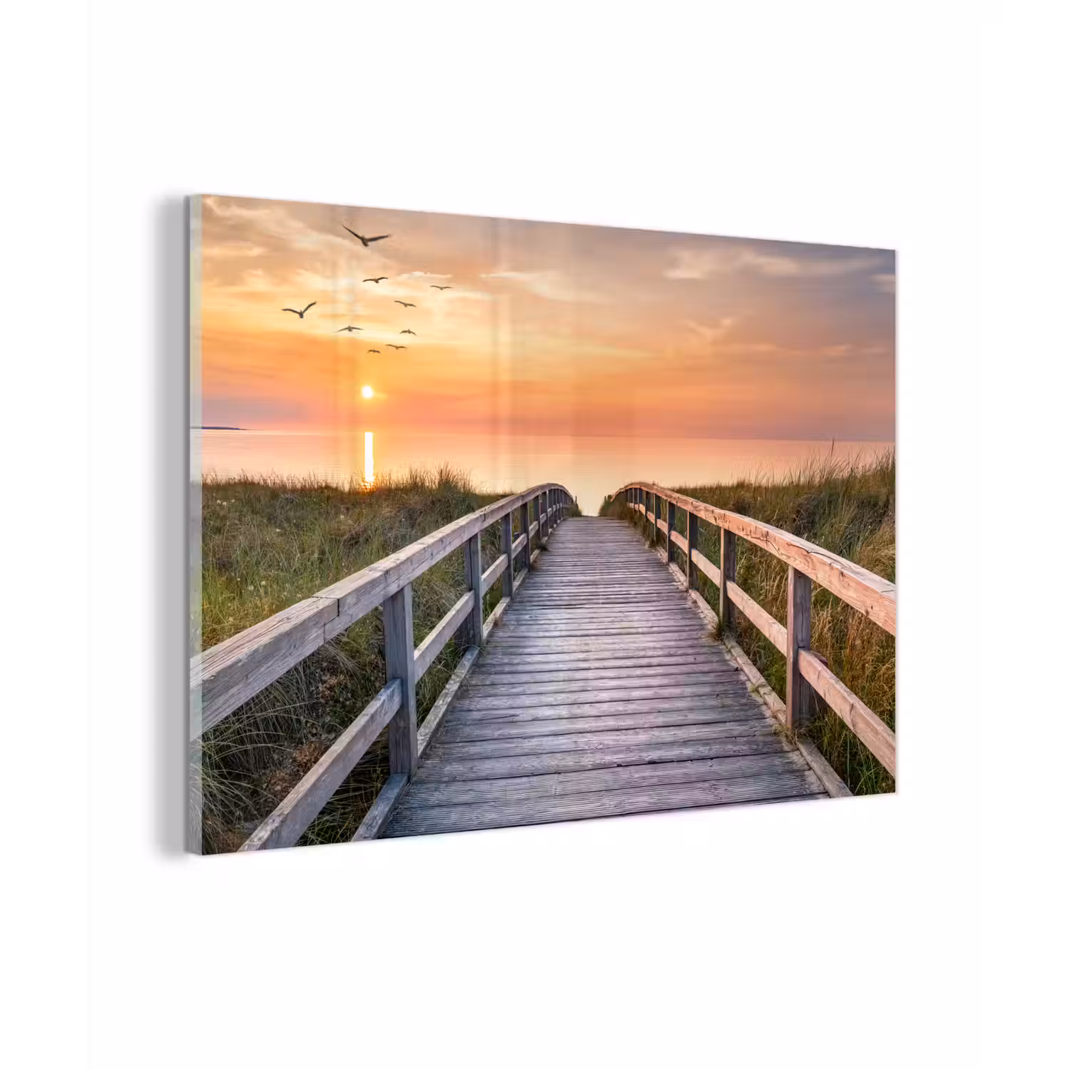 Zonsonderang - Zee - Pad - Gras - Duin - Vogels plexiglas 5mm klein -zzzproduct_nieuw