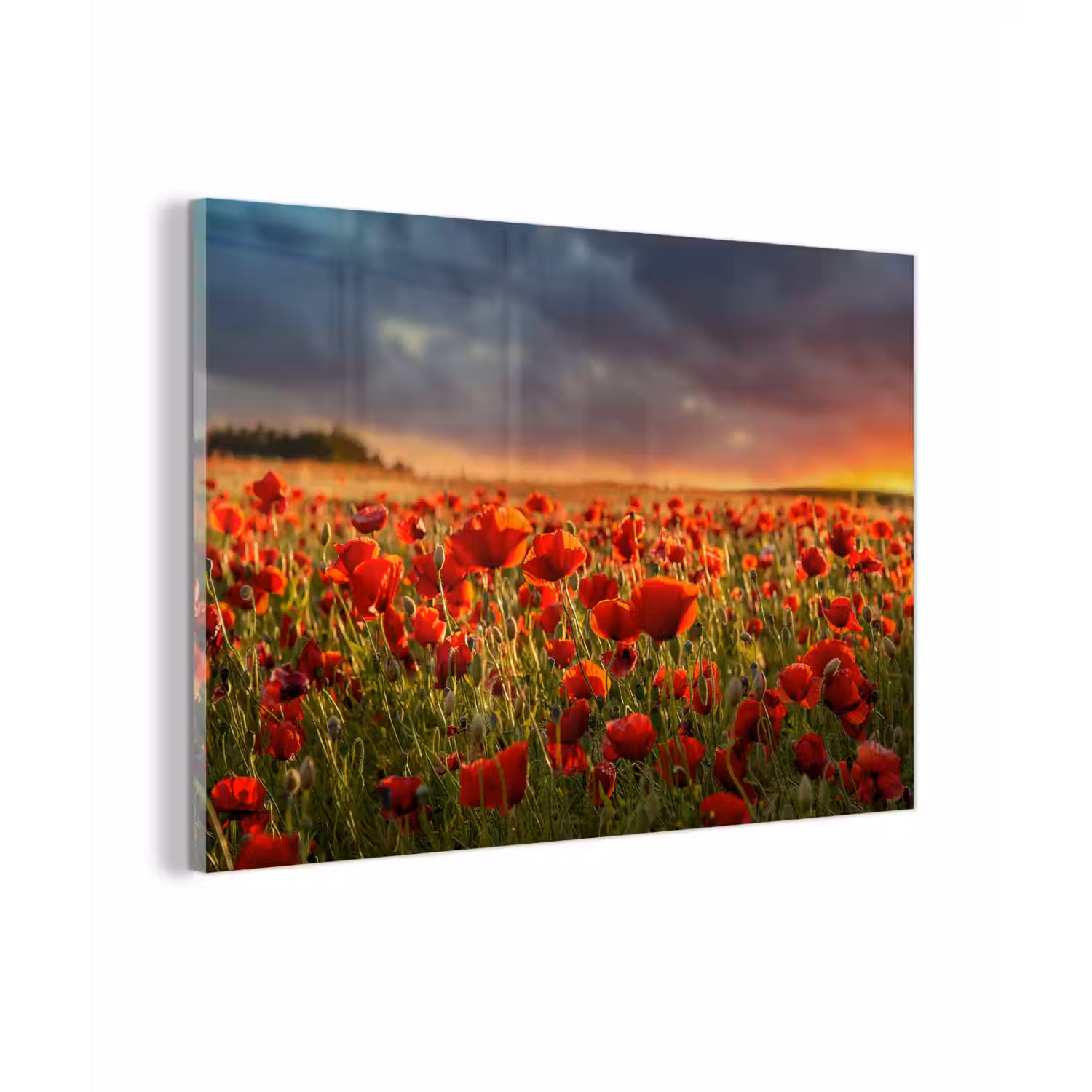 Zonsondergang - Klaprozen - Rood - Bloemen - Veld - Natuur plexiglas 5mm klein -zzzproduct_nieuw