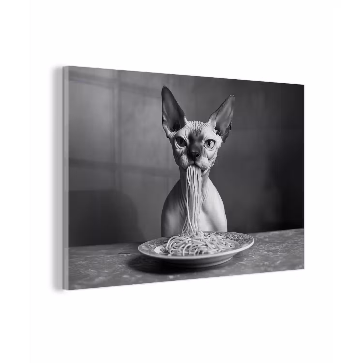 Sphynx - Kat - Dieren - Humor - Spaghetti - Zwart Wit plexiglas 5mm klein -zzzproduct_nieuw