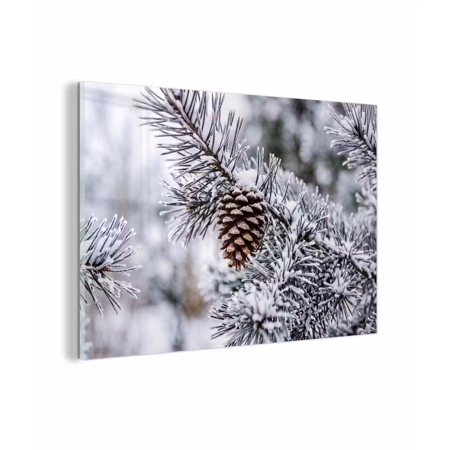 Dennenappel - Tak - Sneeuw - Winter - Sfeervol plexiglas 5mm klein -zzzproduct_nieuw
