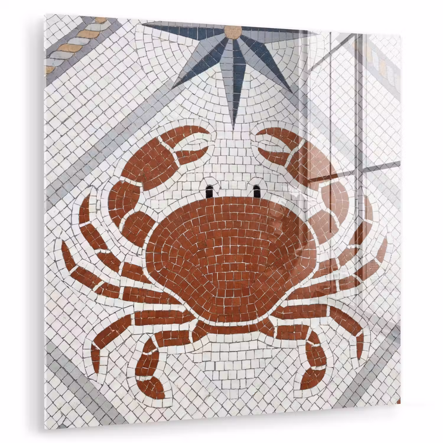 Dier - Mozaïek - Zee - Klassiek - Bruin plexiglas 5mm klein -zzzproduct_nieuw