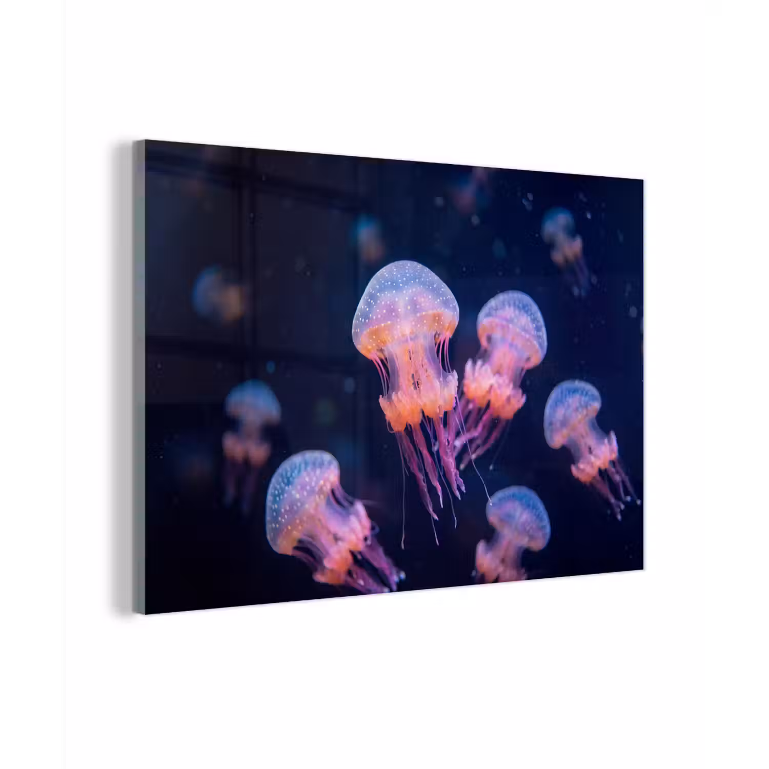 Dier - Onderwater - Natuur - Roze - Mysterieus plexiglas 5mm klein -zzzproduct_nieuw
