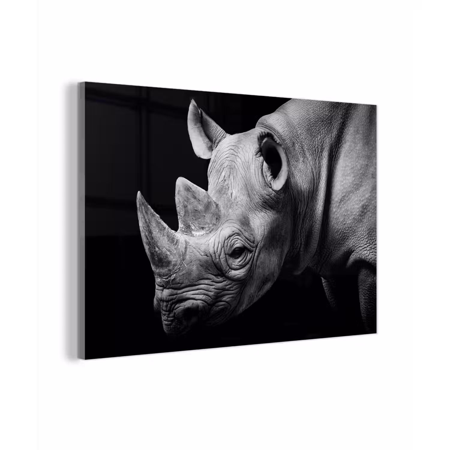 Dieren - Neushoorn - Zwart - Wit - Portret plexiglas 5mm klein -zzzproduct_nieuw