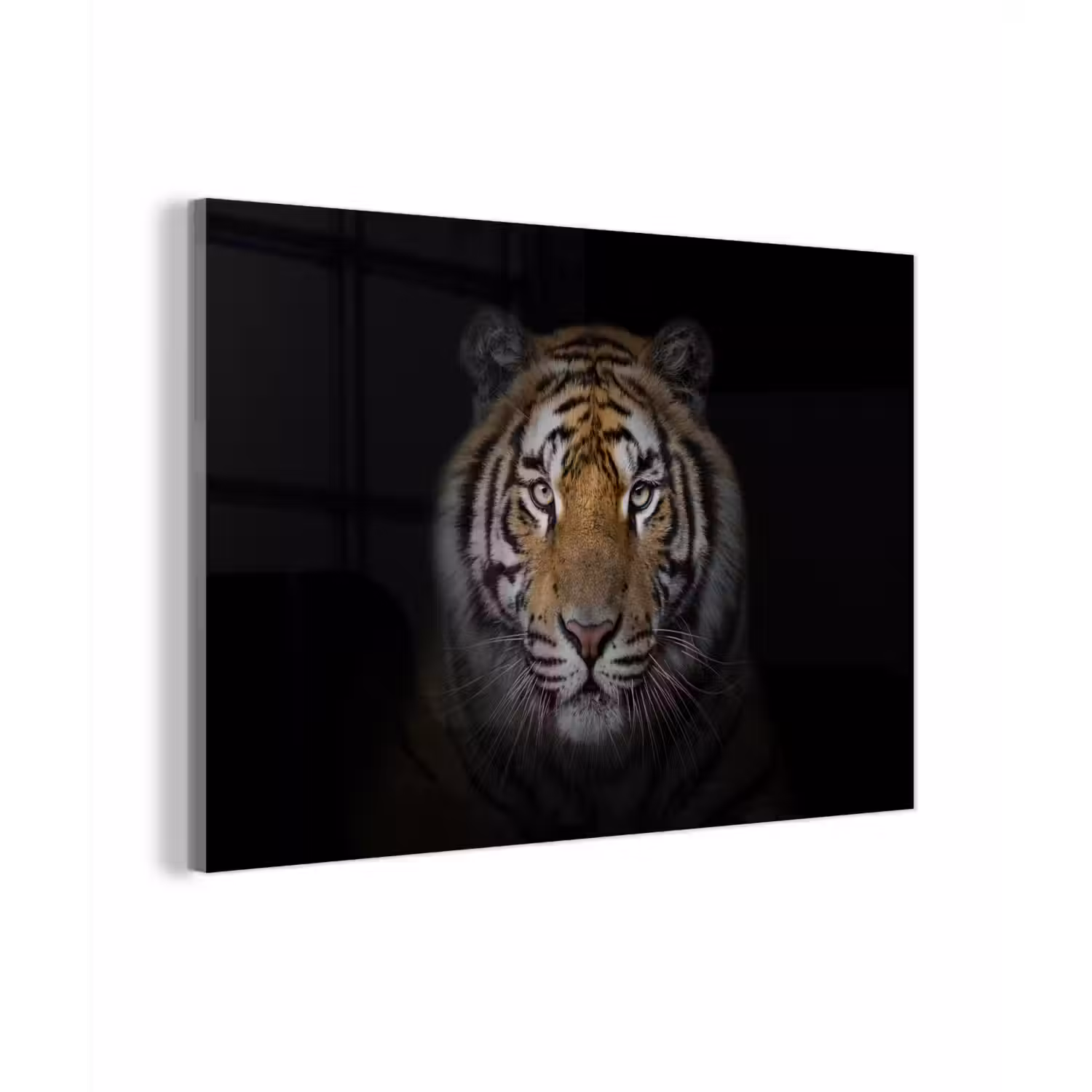 Tijger - Wilde dieren - Portret - Zwart - Dieren plexiglas 5mm klein -zzzproduct_nieuw