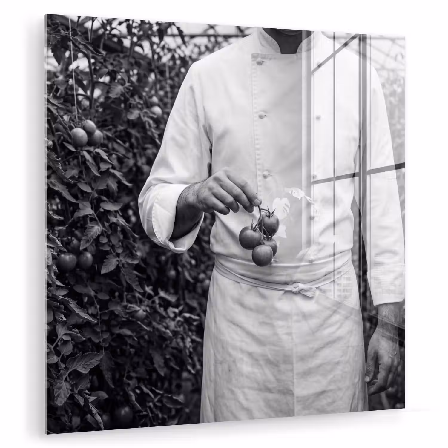 Tomaten - Chef - Zwart - Wit plexiglas 5mm klein -zzzproduct_nieuw