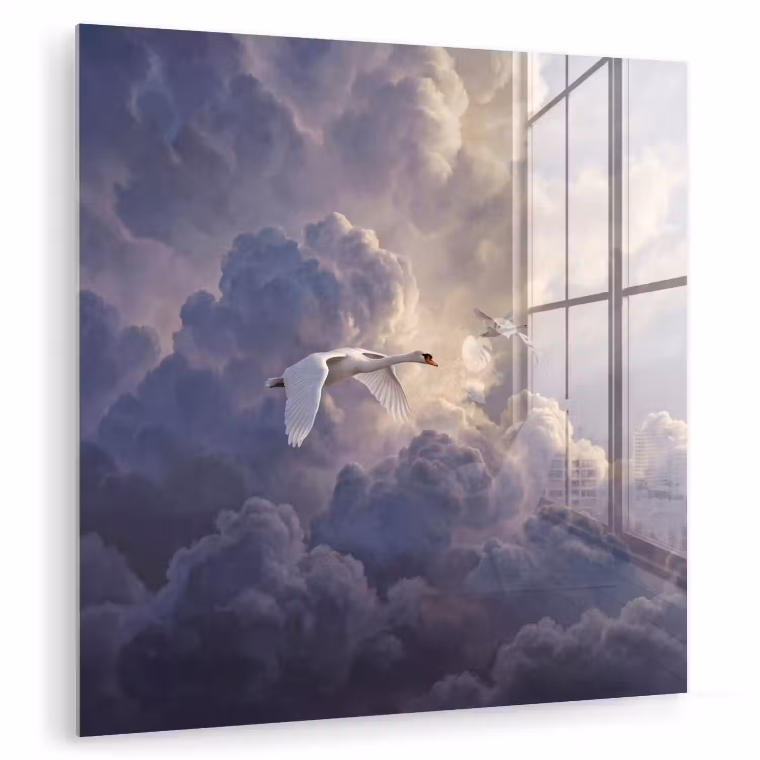Vogel - Vliegend - Natuur - Wit - Wolken plexiglas 5mm klein -zzzproduct_nieuw