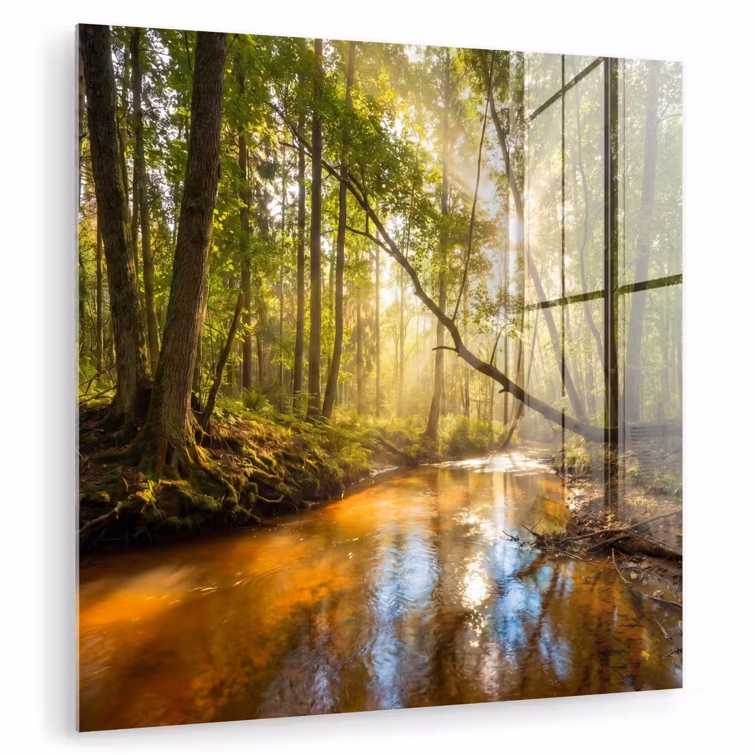 Bos - Beek - Zonlicht - Natuur - Groen plexiglas 5mm klein -zzzproduct_nieuw