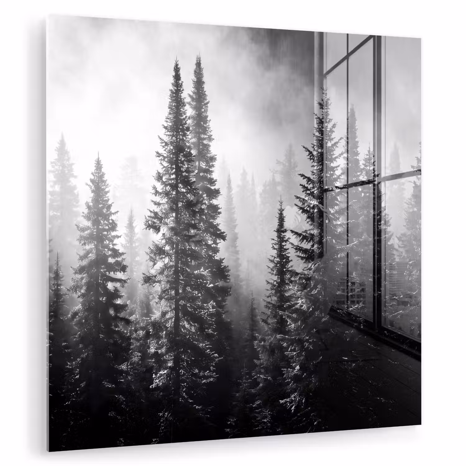 Bos - Mist - Winter - Monochroom - Natuur plexiglas 5mm klein -zzzproduct_nieuw