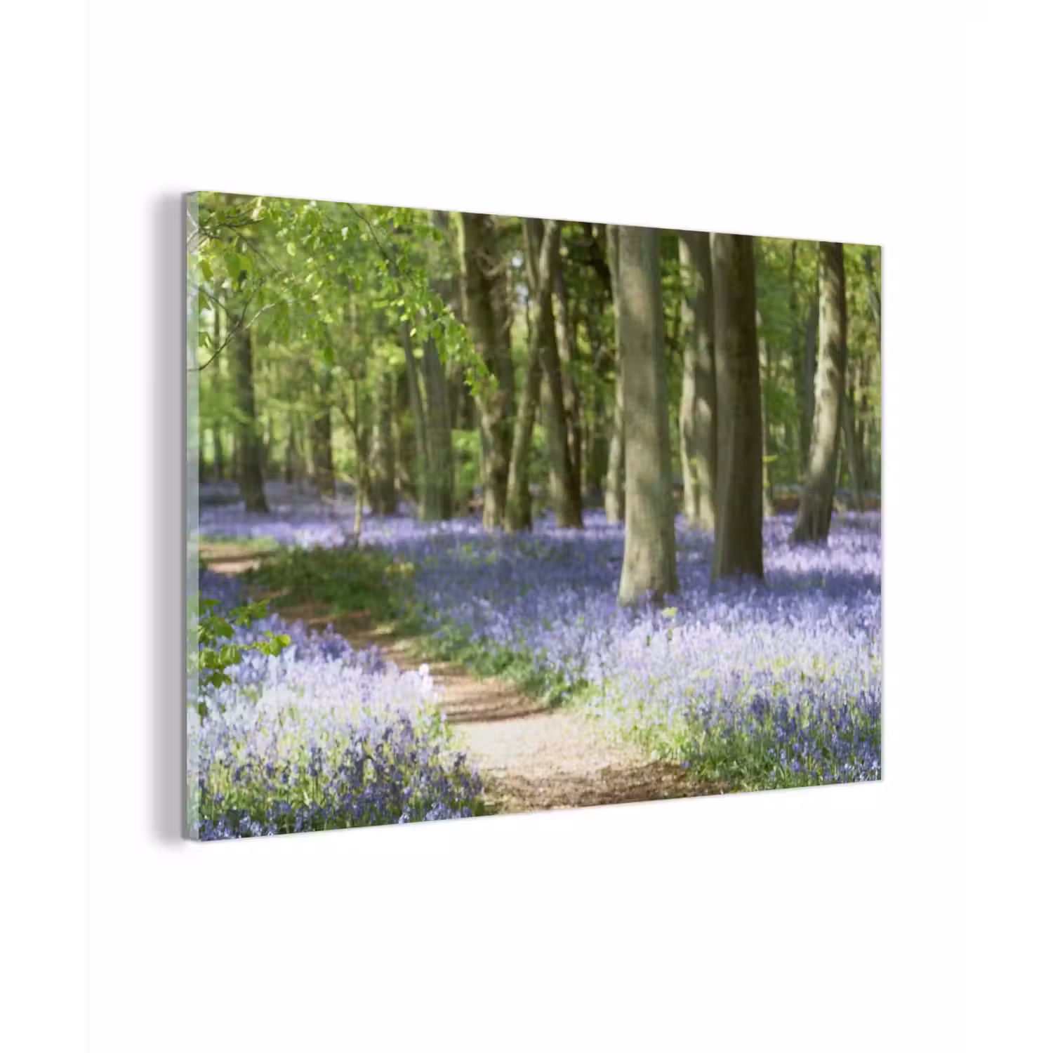 Bos - Pad - Bloemen - Paars - Groen - Natuur plexiglas 5mm klein -zzzproduct_nieuw
