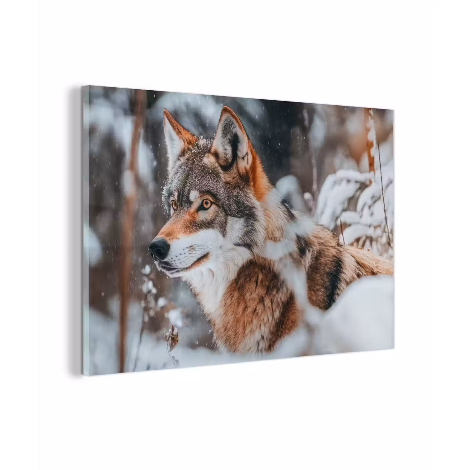 Wolf - Sneeuw - Winter - Dieren - Natuur - Sneeuw plexiglas 5mm klein -zzzproduct_nieuw