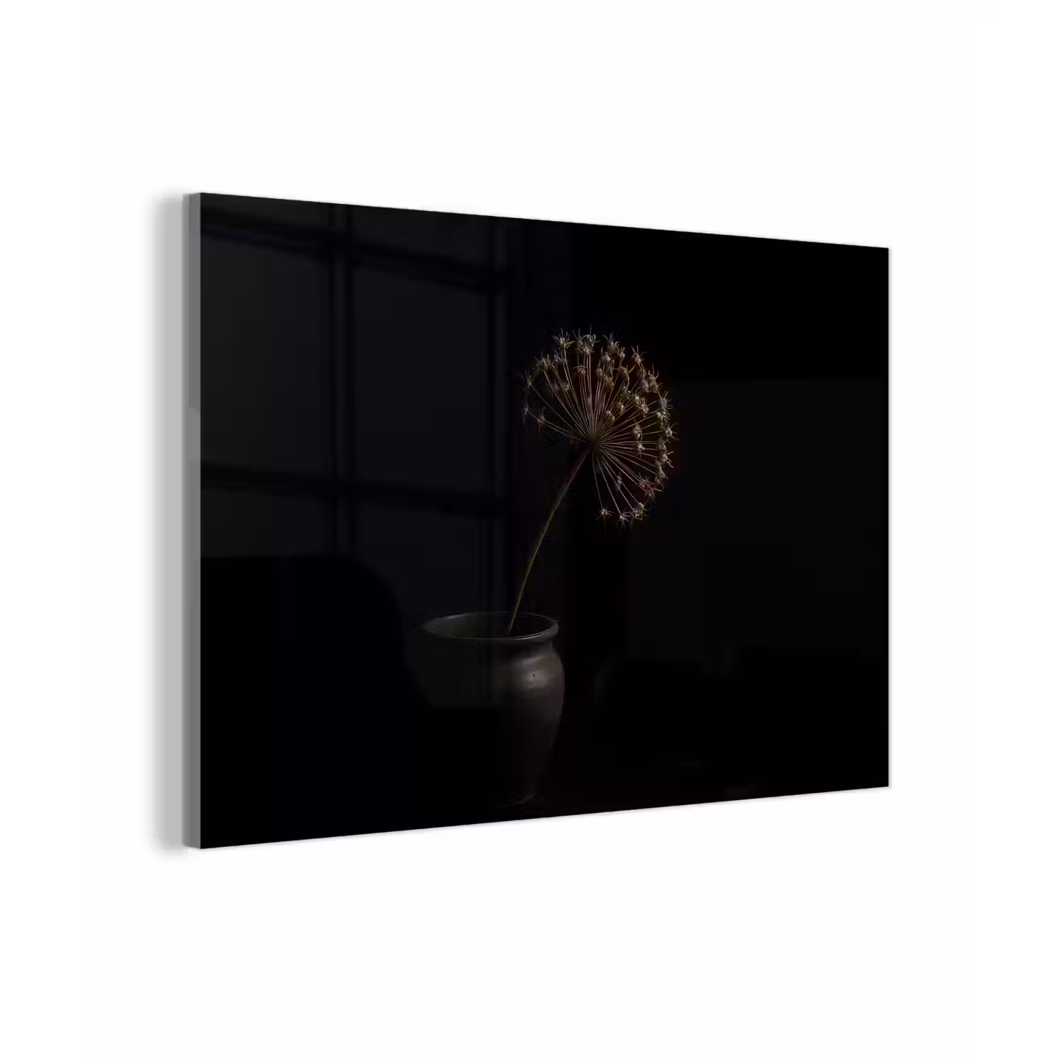 Bol - Gedroogd - Vaas - Zwart plexiglas 5mm klein -zzzproduct_nieuw