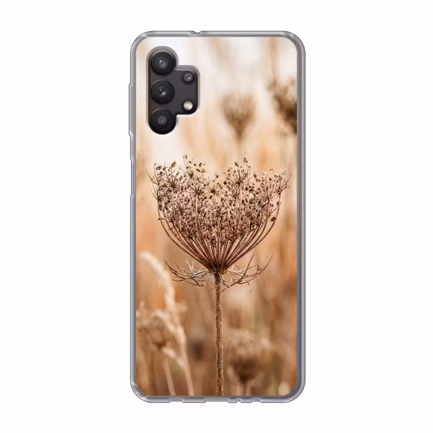 Schermbloem - Droogbloem - Winter - Beige - Minimalistisch Telefoonhoesje Samsung Galaxy A32 5G klein -3d