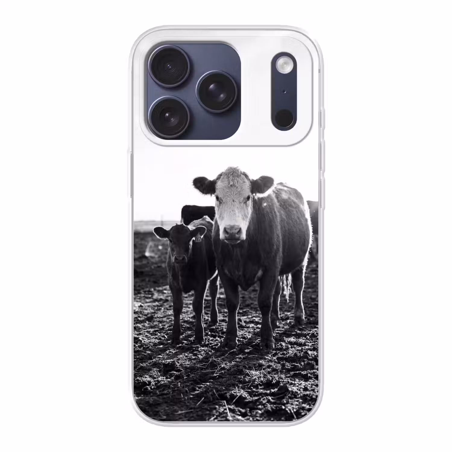 Koeien - Zwart - Wit Telefoonhoesje iPhone 17 Pro klein -3d
