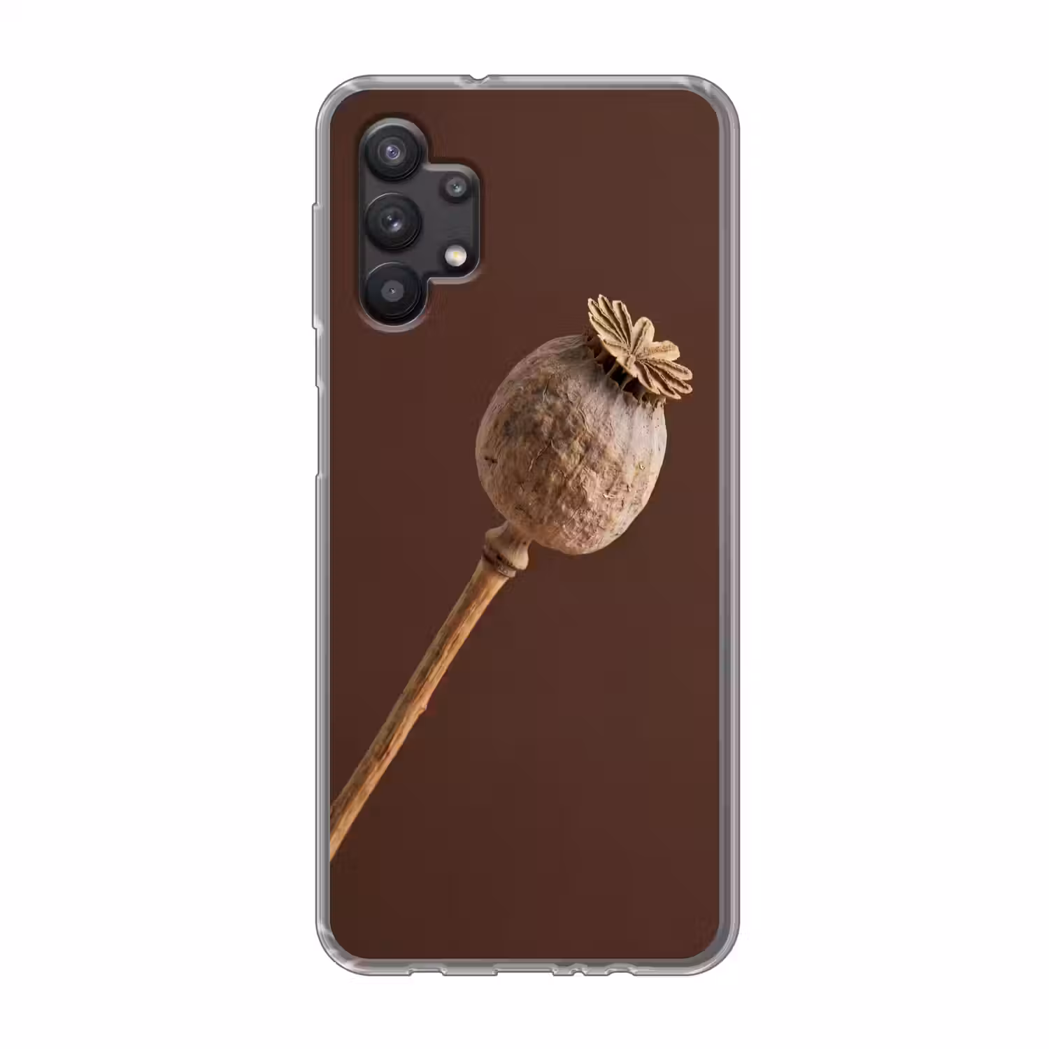 Papaverbol - Droogbloem - Bruin - Minimalistisch Telefoonhoesje Samsung Galaxy A32 5G klein -3d