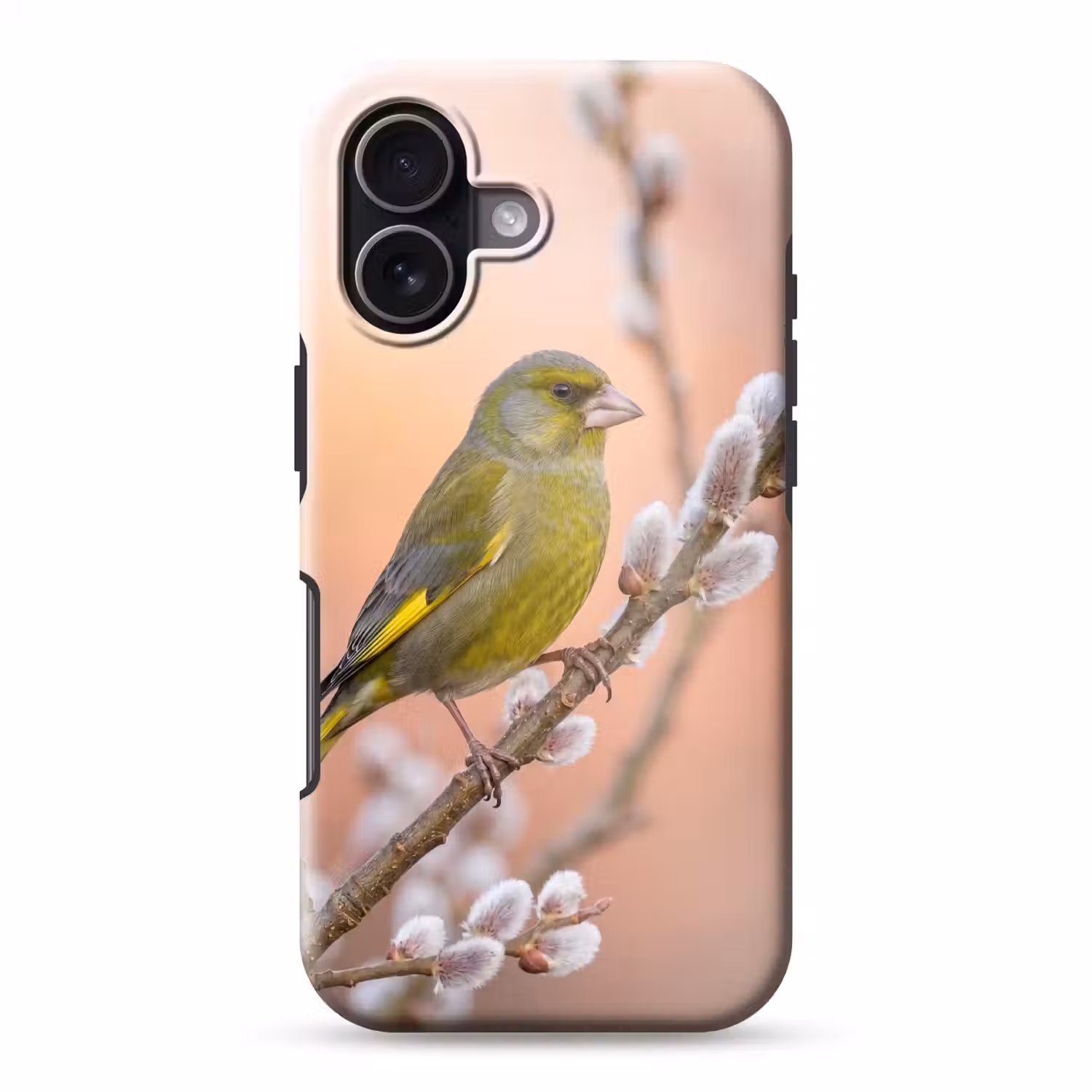 Groenling - Katjes - Lente - Natuur - Zacht Toughcase MagSafe Apple iPhone 17 klein -3d