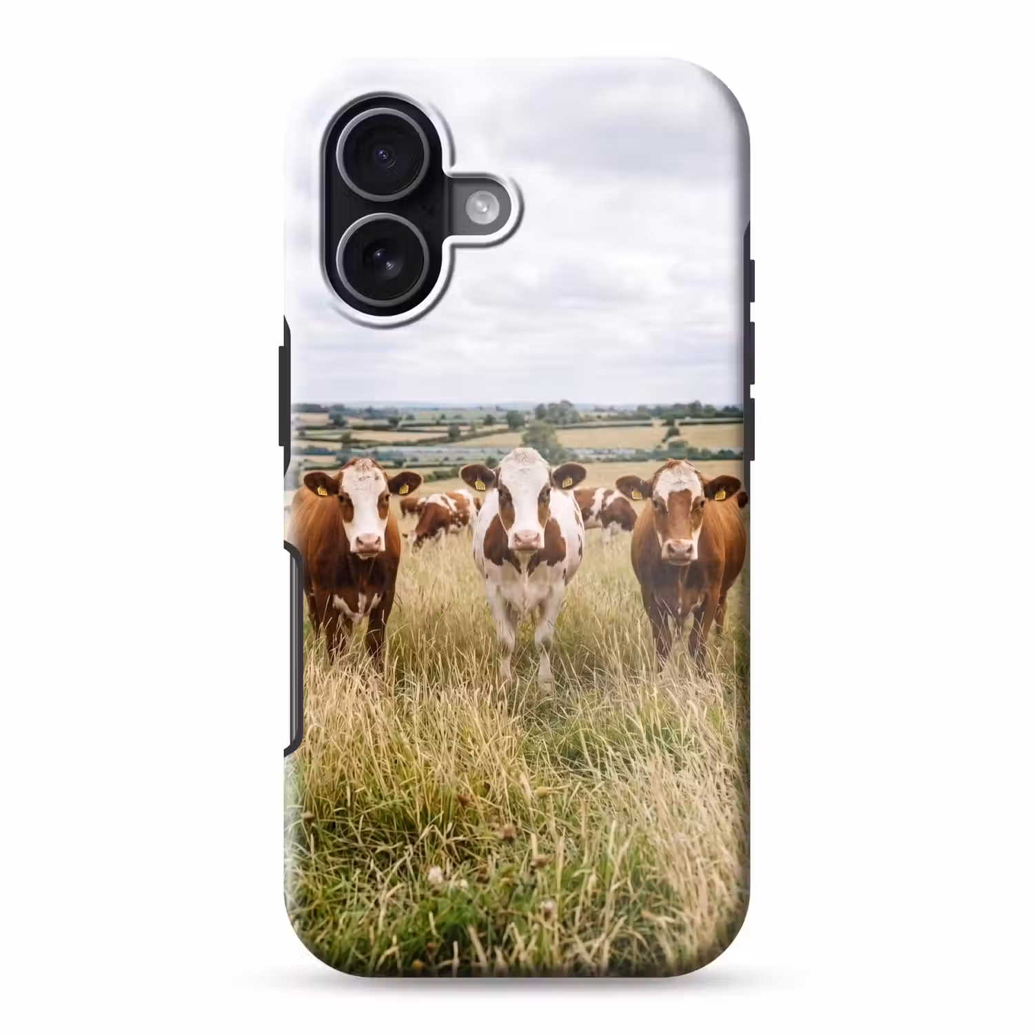 Koeien - Portret - Weide - Boerderij - Nieuwsgierig Toughcase MagSafe Apple iPhone 17 klein -3d