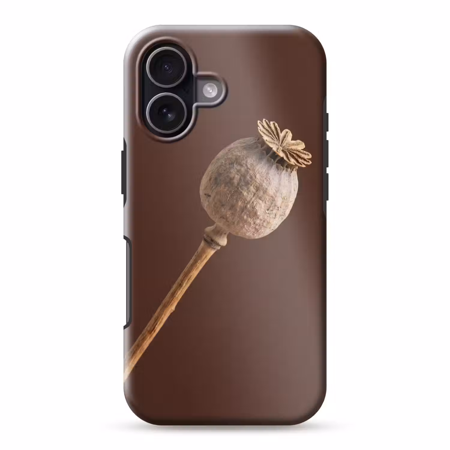 Papaverbol - Droogbloem - Bruin - Minimalistisch Toughcase MagSafe Apple iPhone 17 klein -3d