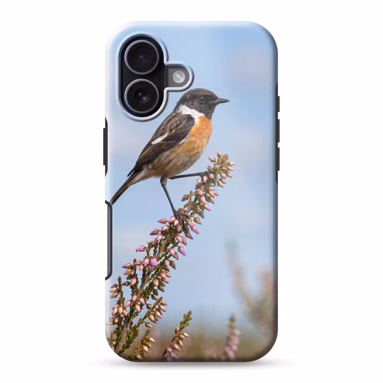 Roodborsttapuit - Heide - Paars - Natuur - Sfeervol Toughcase MagSafe Apple iPhone 17 klein -3d