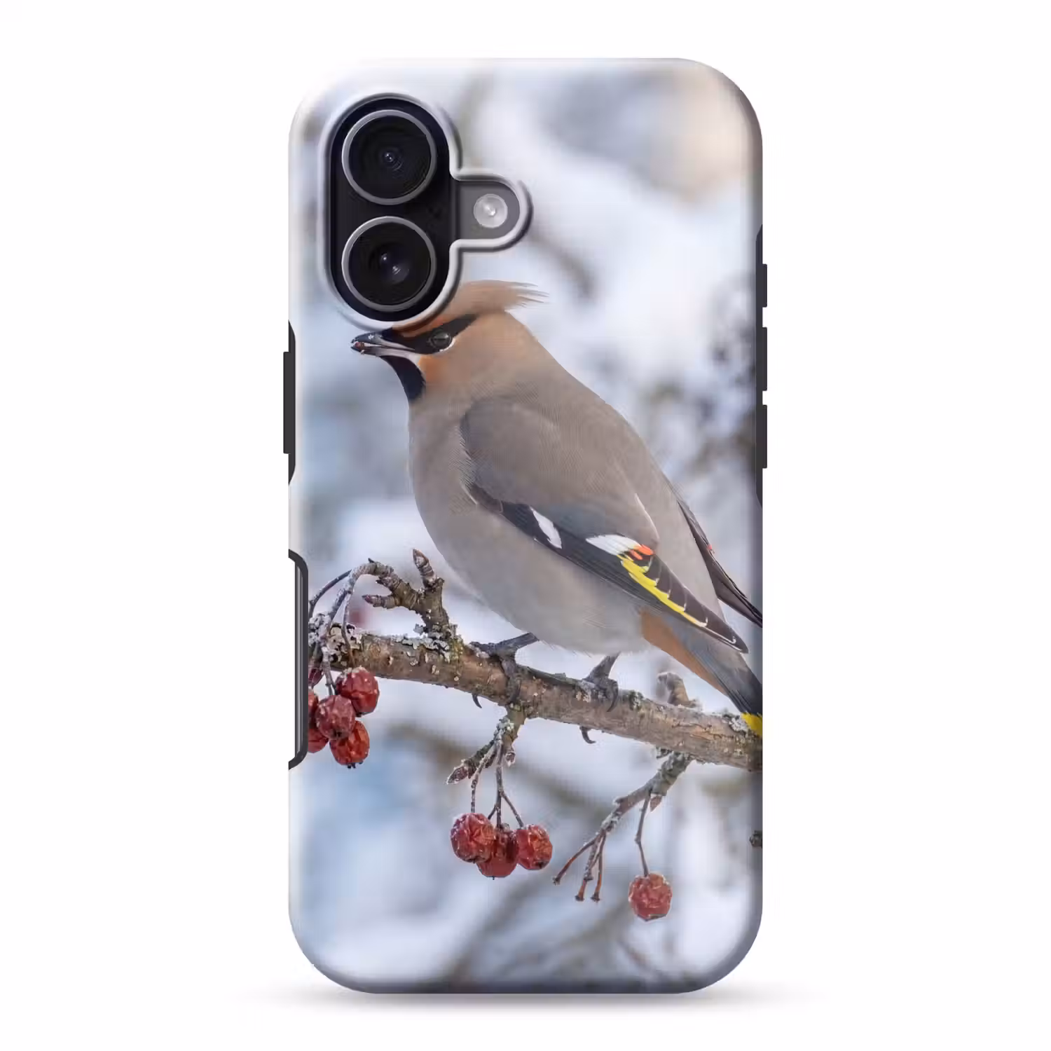 Pestvogel - Bessen - Winter - Natuur Toughcase MagSafe Apple iPhone 17 klein -3d