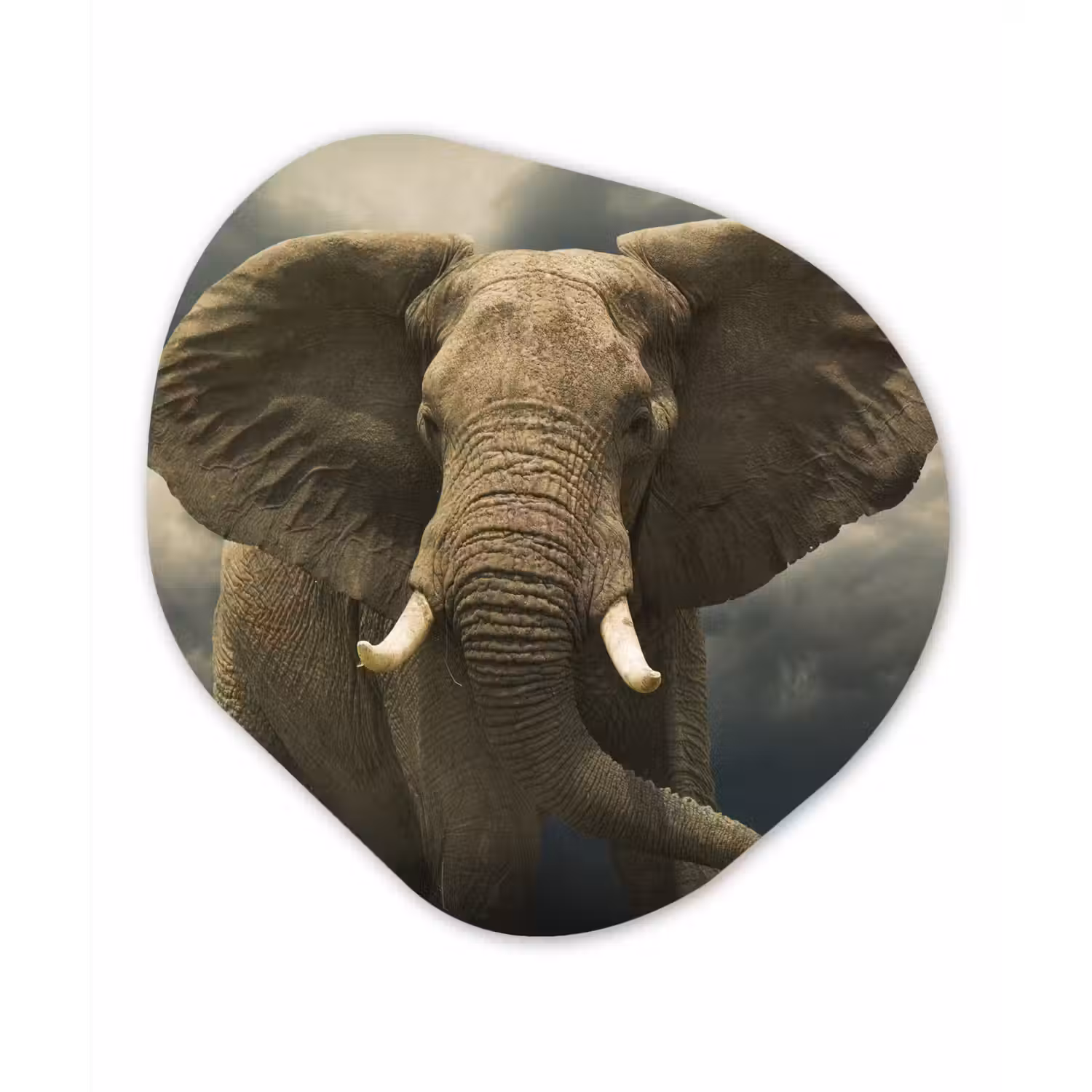 Afrikaanse olifant tegen de donkere wolken Wandcirkel Organisch Forex 3mm klein -3d