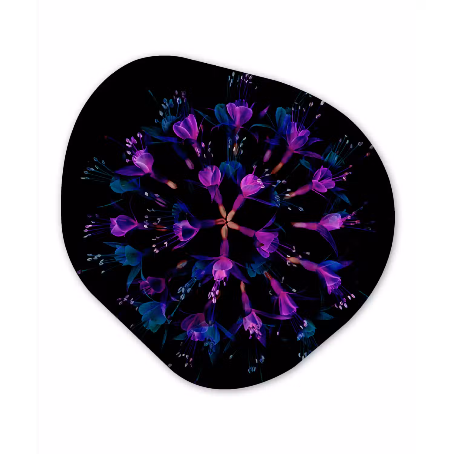 Bloem - Paars - Blauw - Macro - Zwart Wandcirkel Organisch Forex 3mm klein -3d