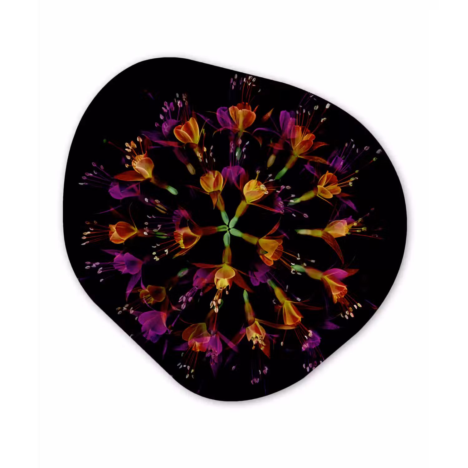 Bloemen - Oranje - Roze - Zwart Wandcirkel Organisch Forex 3mm klein -3d