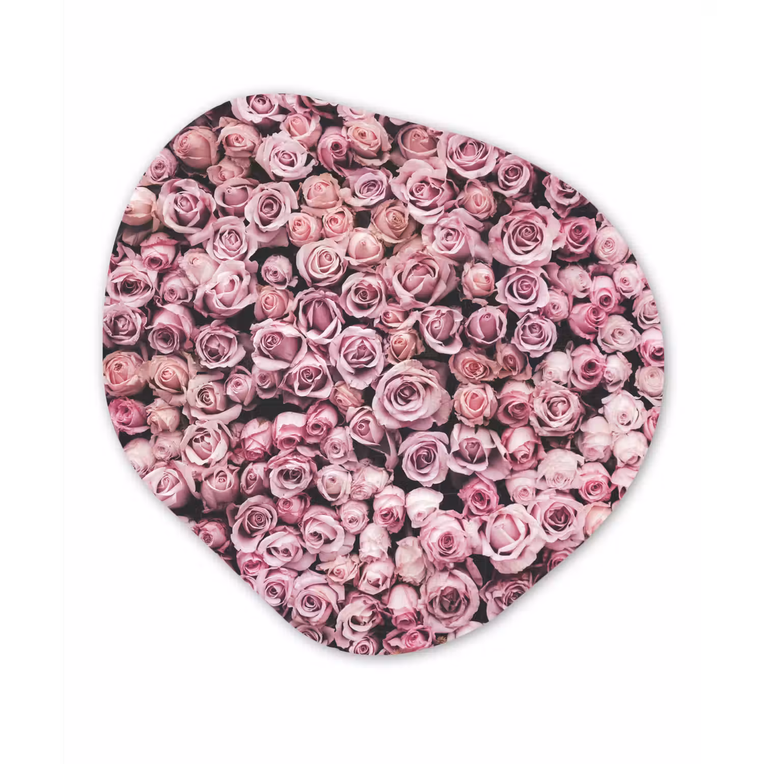 Bloemen - Rozen - Natuur - Roze - Botanisch Wandcirkel Organisch Forex 3mm klein -3d
