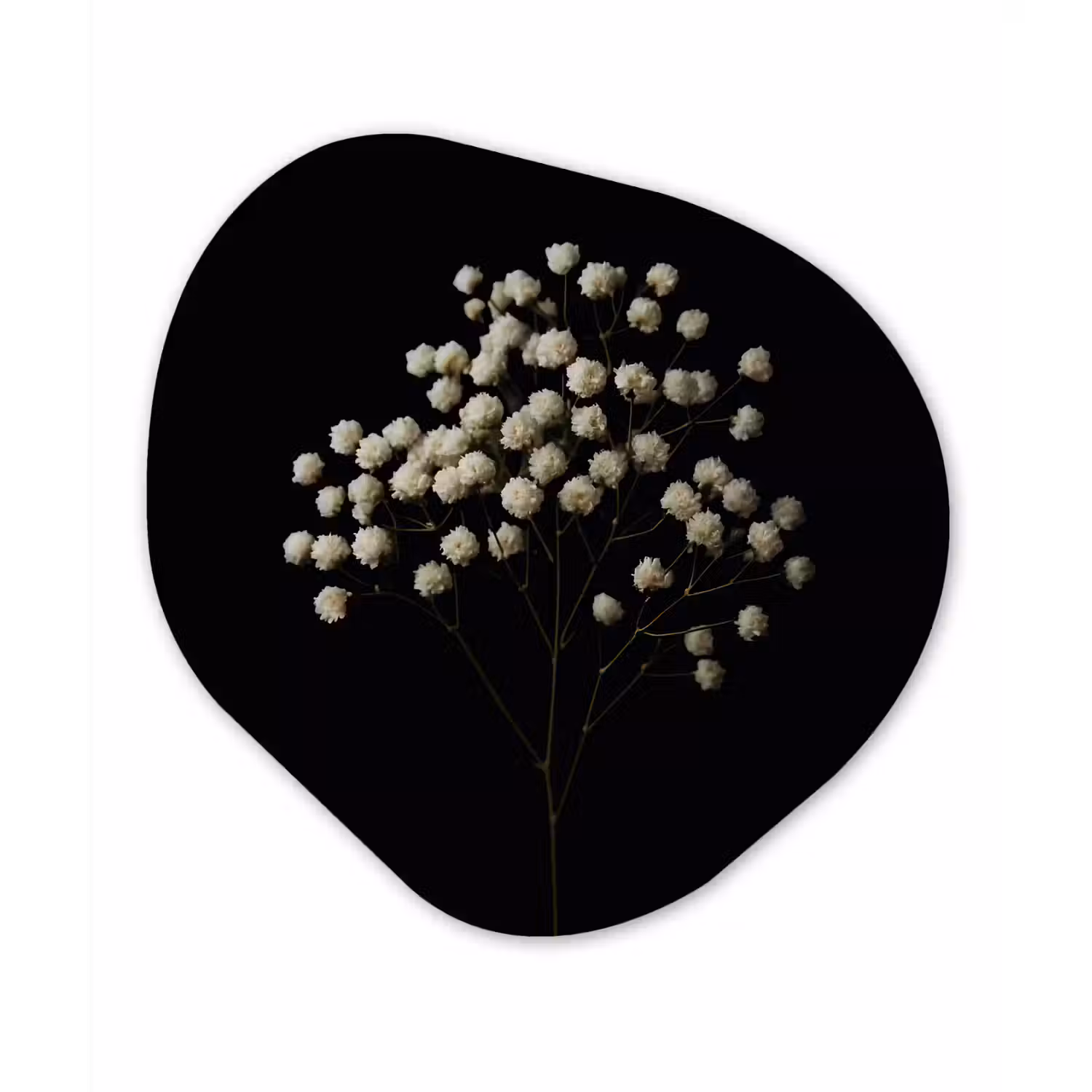 Gipskruid - Bloemetjes - Wit - Minimalistisch Wandcirkel Organisch Forex 3mm klein -3d