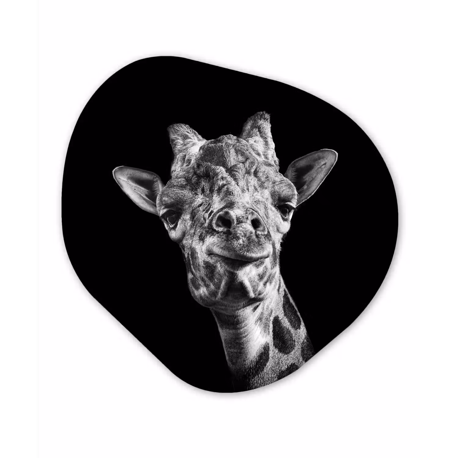 Giraffe - Dier - Zwart - Wit Wandcirkel Organisch Forex 3mm klein -3d