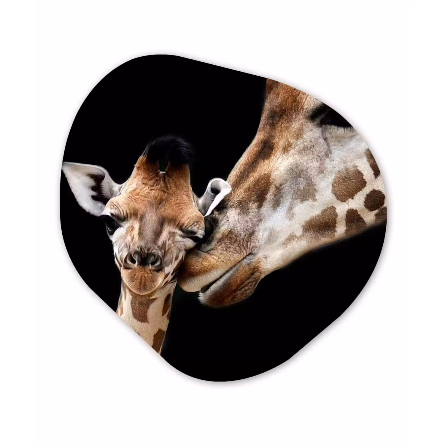 Giraffe - Dieren - Zwart - Portret - Dieren Wandcirkel Organisch Forex 3mm klein -3d