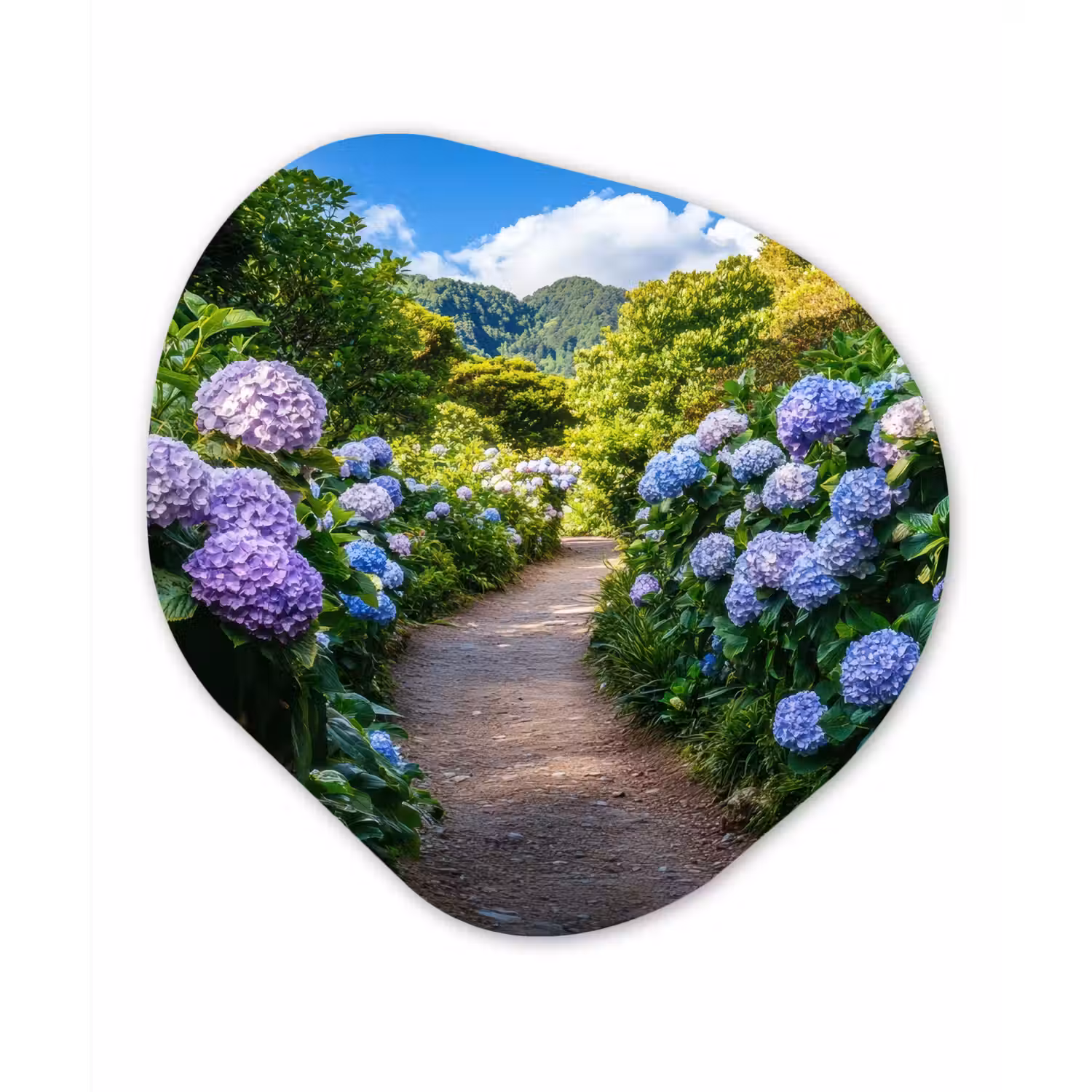Hortsensia - Pad - Bloemen Wandcirkel Organisch Forex 3mm klein -3d