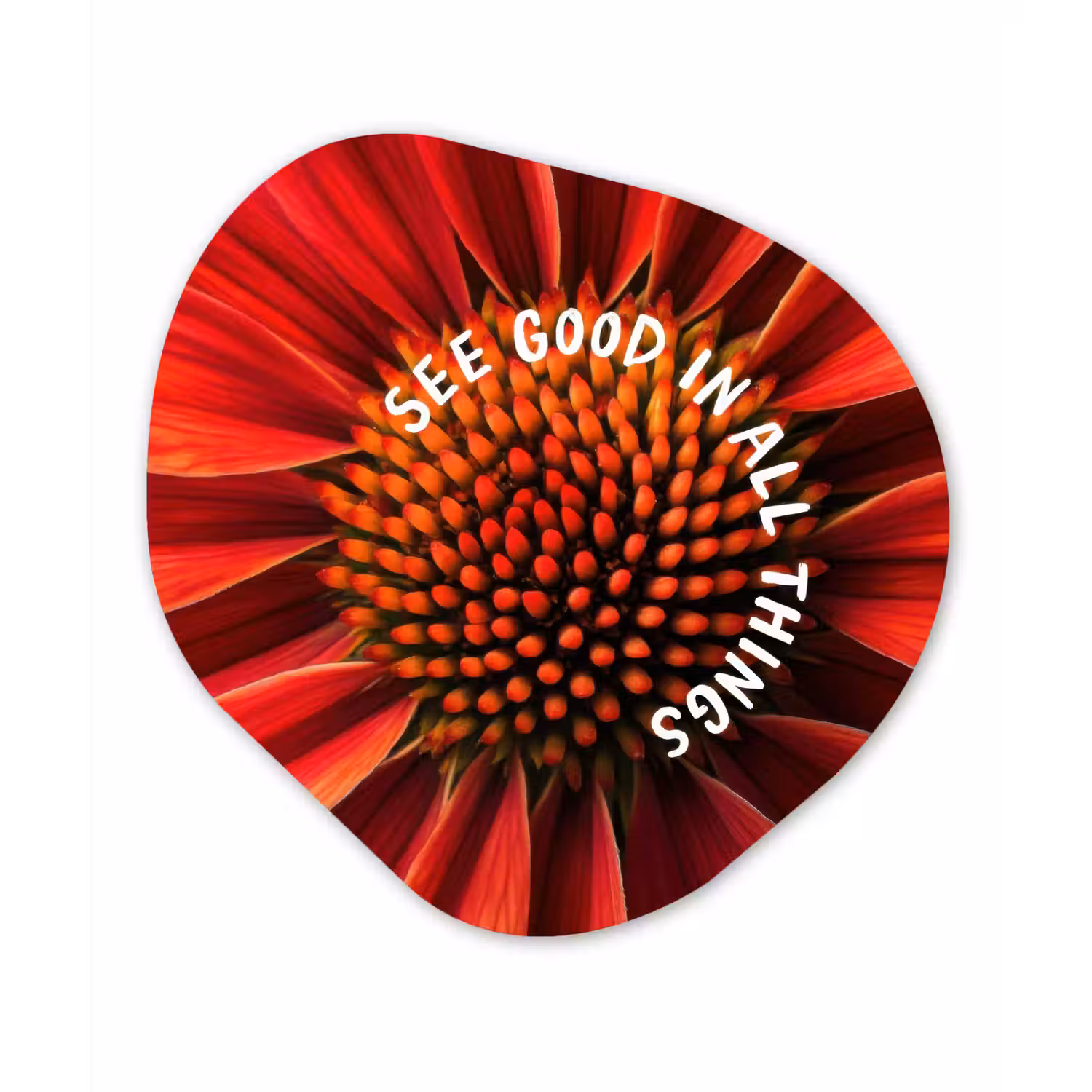 Close up - Bloem - Quote - Rood Wandcirkel Organisch Forex 3mm klein -3d