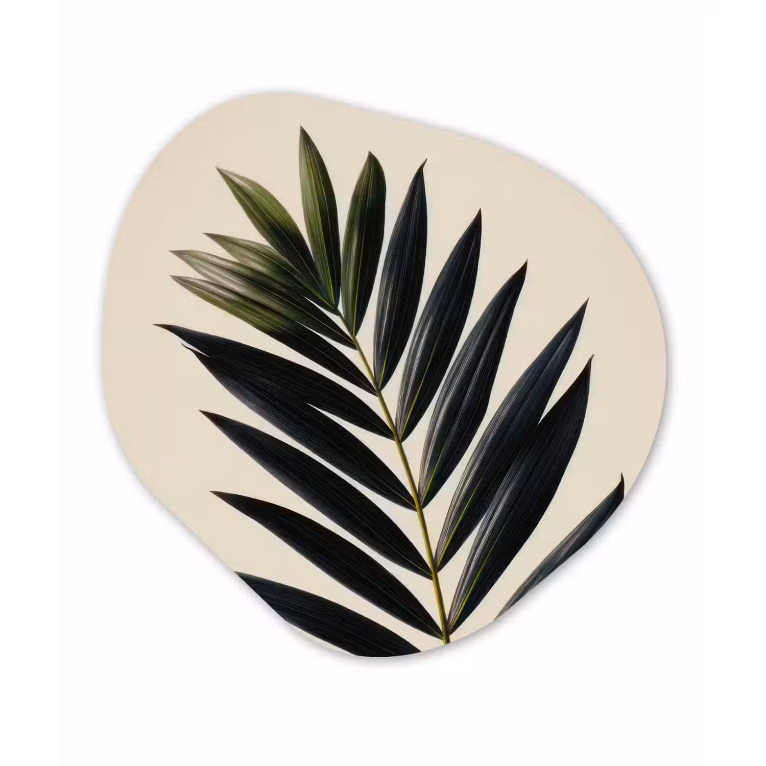 Palmblad - Donkere bladen - Subtiel Wandcirkel Organisch Forex 3mm klein -3d
