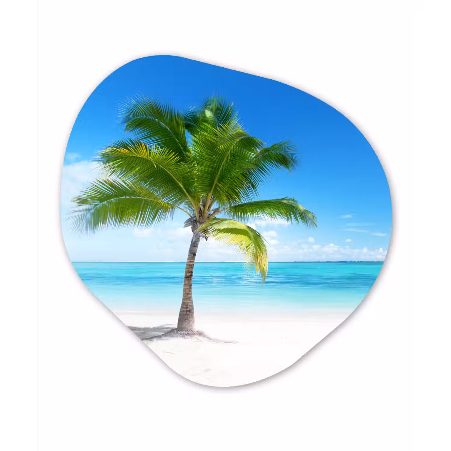Palmboom - Strand - Zee - Zomer Wandcirkel Organisch Forex 3mm klein -3d