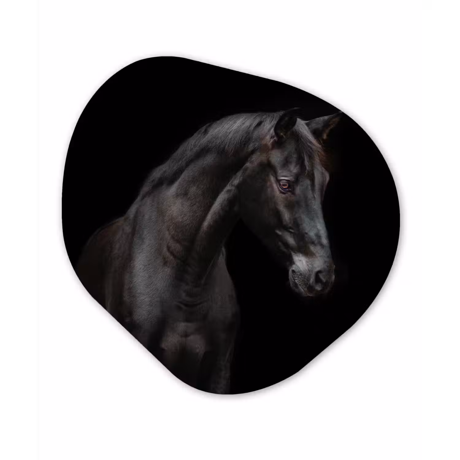 Paard - Dieren - Zwart - Portret Wandcirkel Organisch Forex 3mm klein -3d