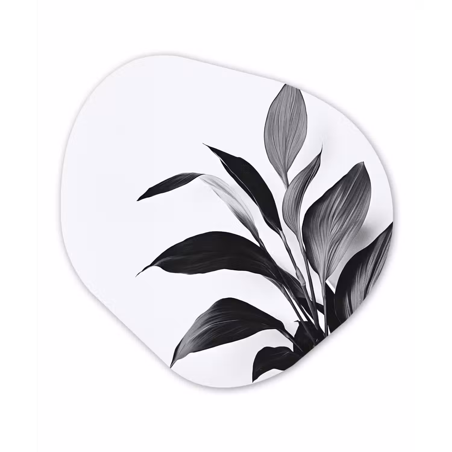 Plant - Bladeren - Minimalistisch - Zwart Wandcirkel Organisch Forex 3mm klein -3d