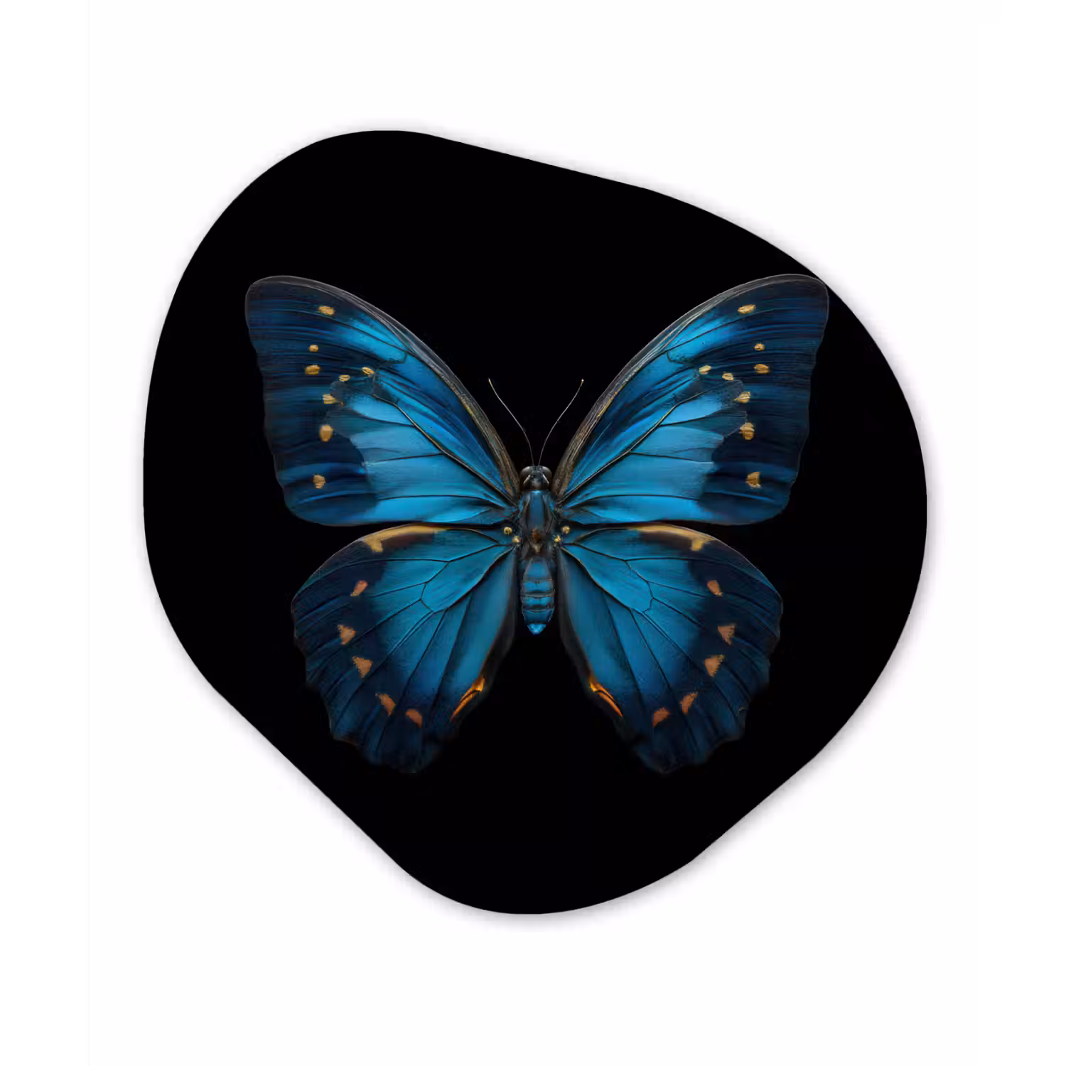 Vlinder - Blauw - Contrast Wandcirkel Organisch Forex 3mm klein -3d