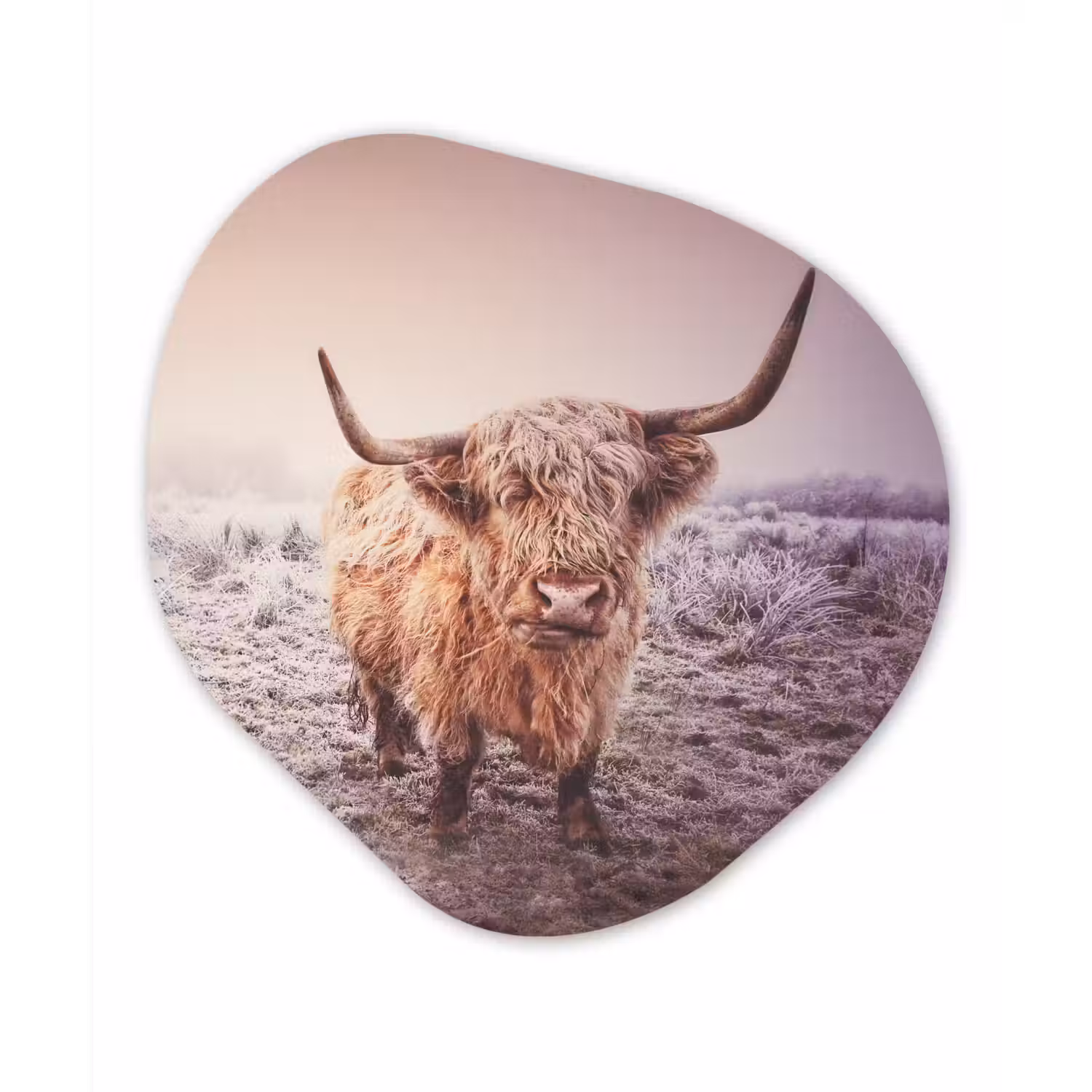 Schotse hooglanders - Licht - Lucht - Natuur Wandcirkel Organisch Forex 3mm klein -3d