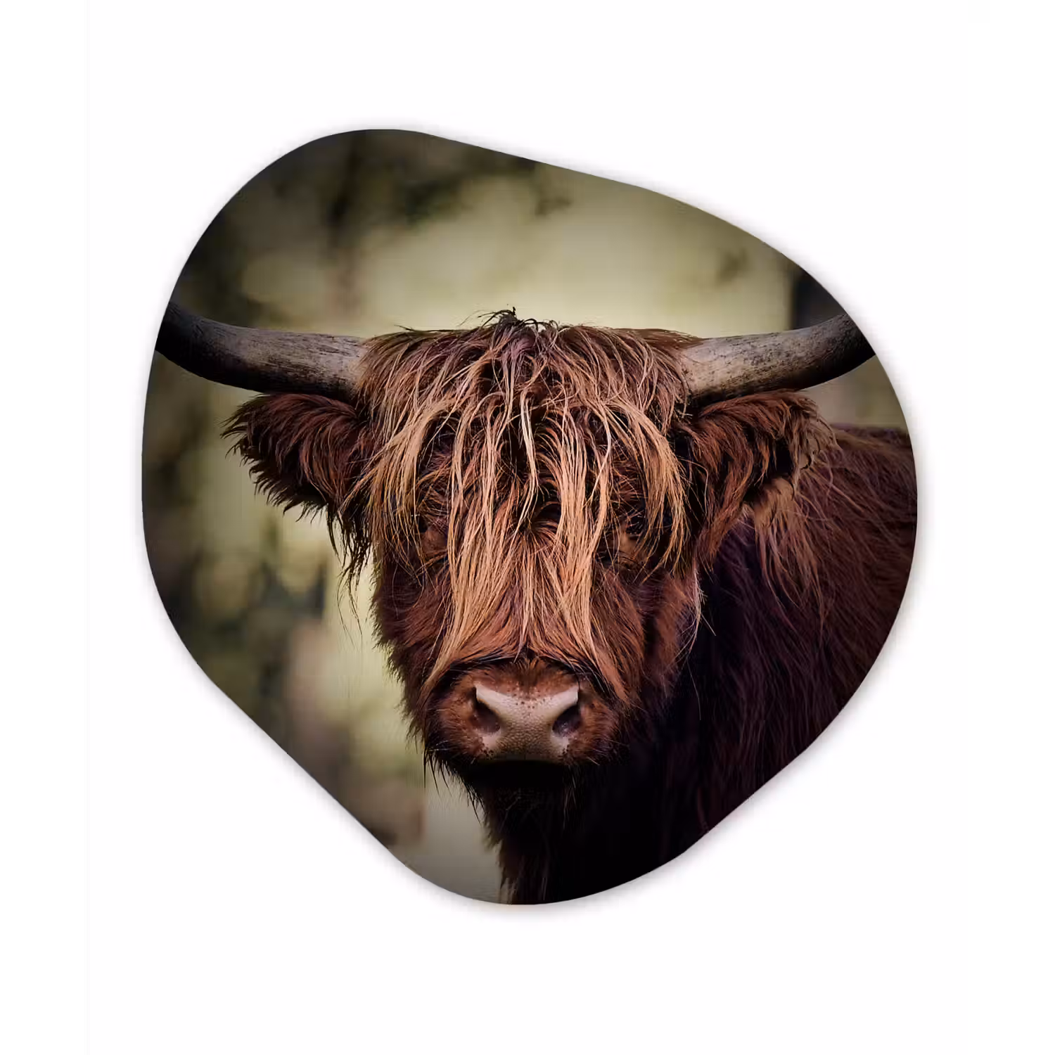 Schotse hooglander - Licht - Portret - Natuur Wandcirkel Organisch Forex 3mm klein -3d