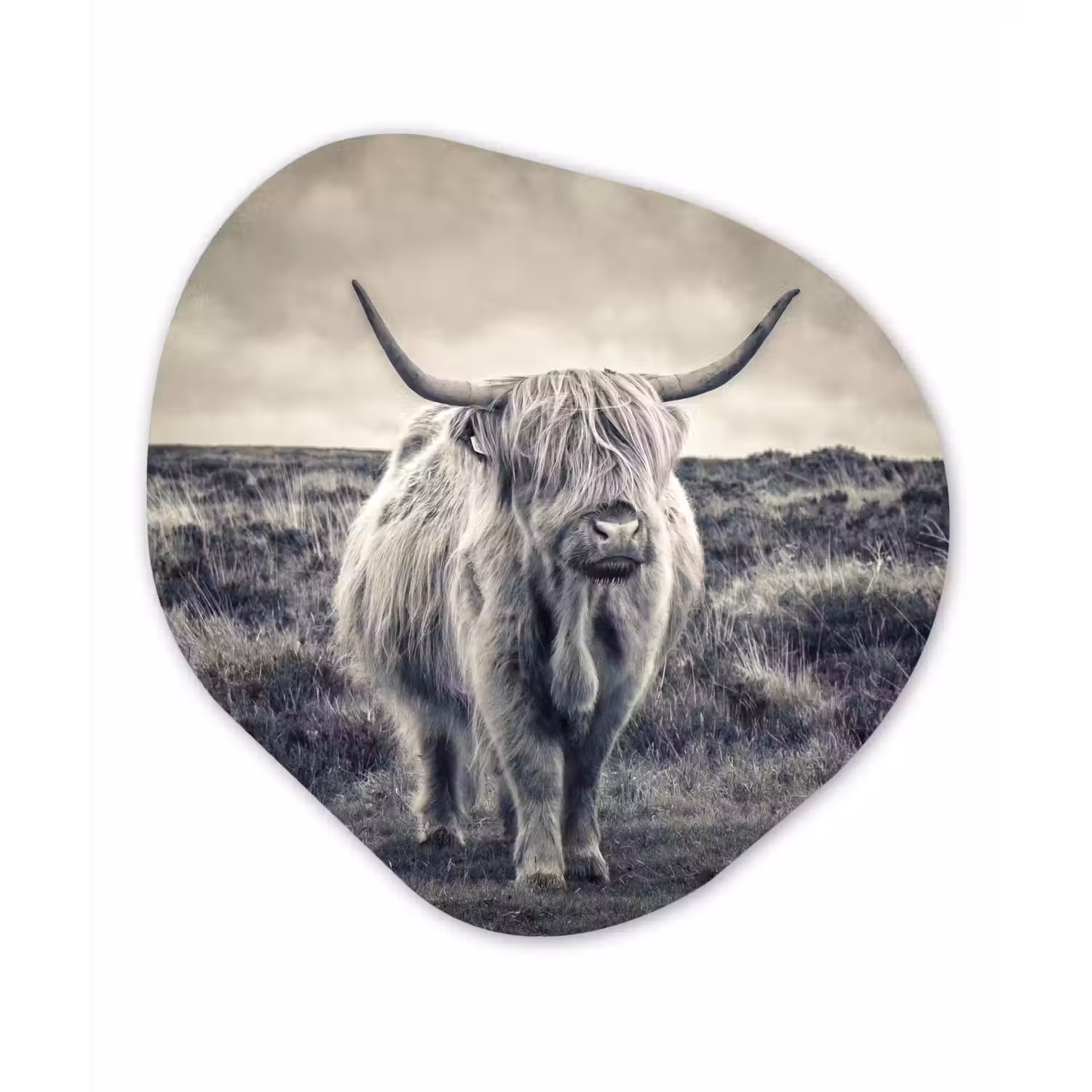 Schotse hooglander - Dieren - Wolken - Koe - Natuur Wandcirkel Organisch Forex 3mm klein -3d
