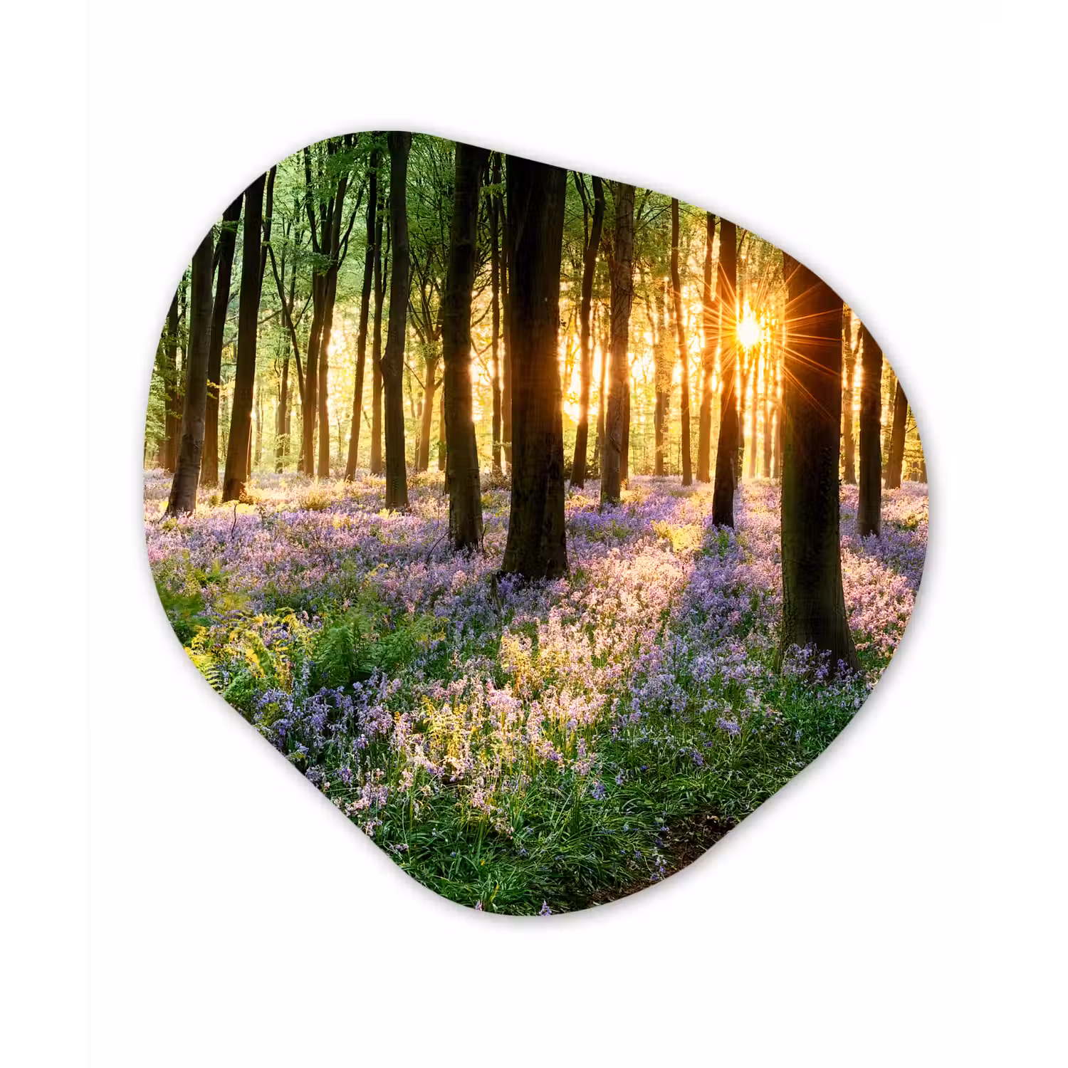 Bos - Bloemen - Lavendel - Zon - Paars - Natuur Wandcirkel Organisch Forex 3mm klein -3d