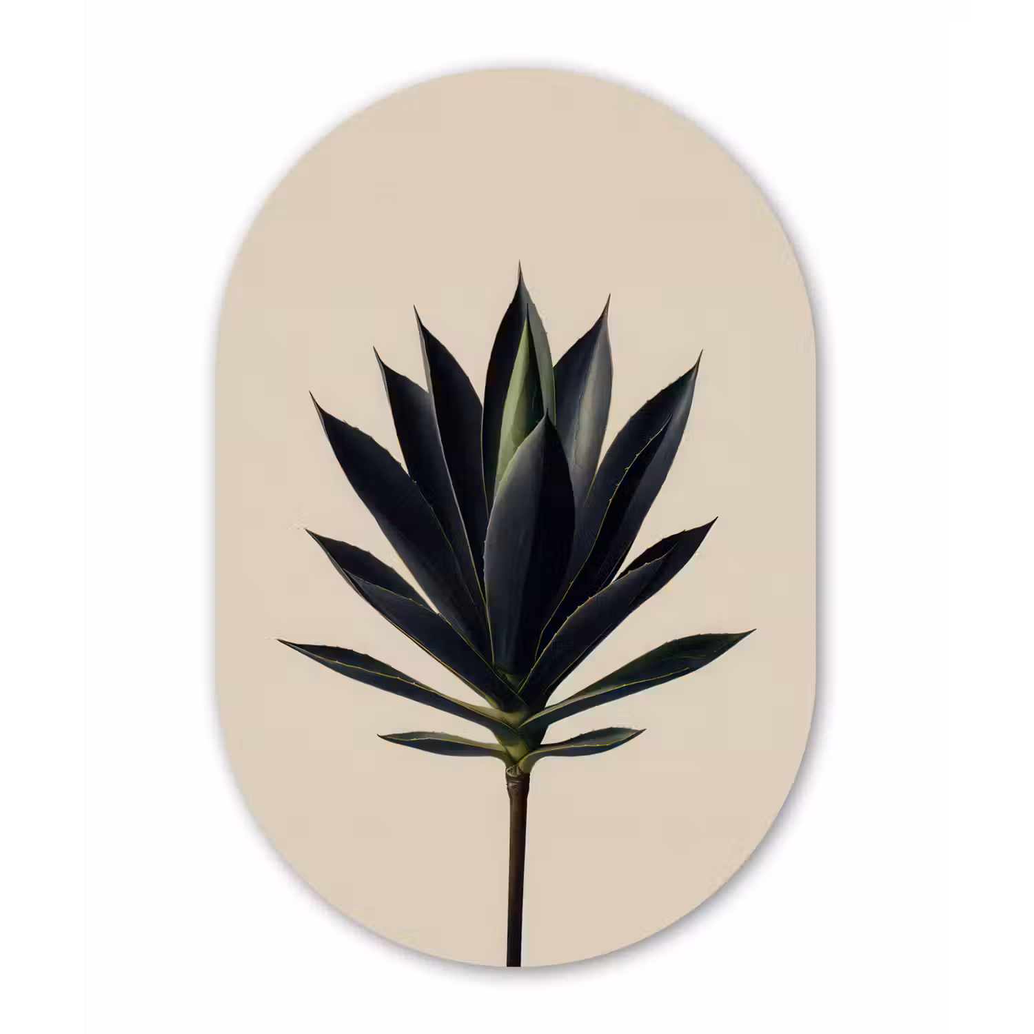 Agaveplant - Symmetrisch - Groen Wandcirkel Ovaal Forex klein -3d