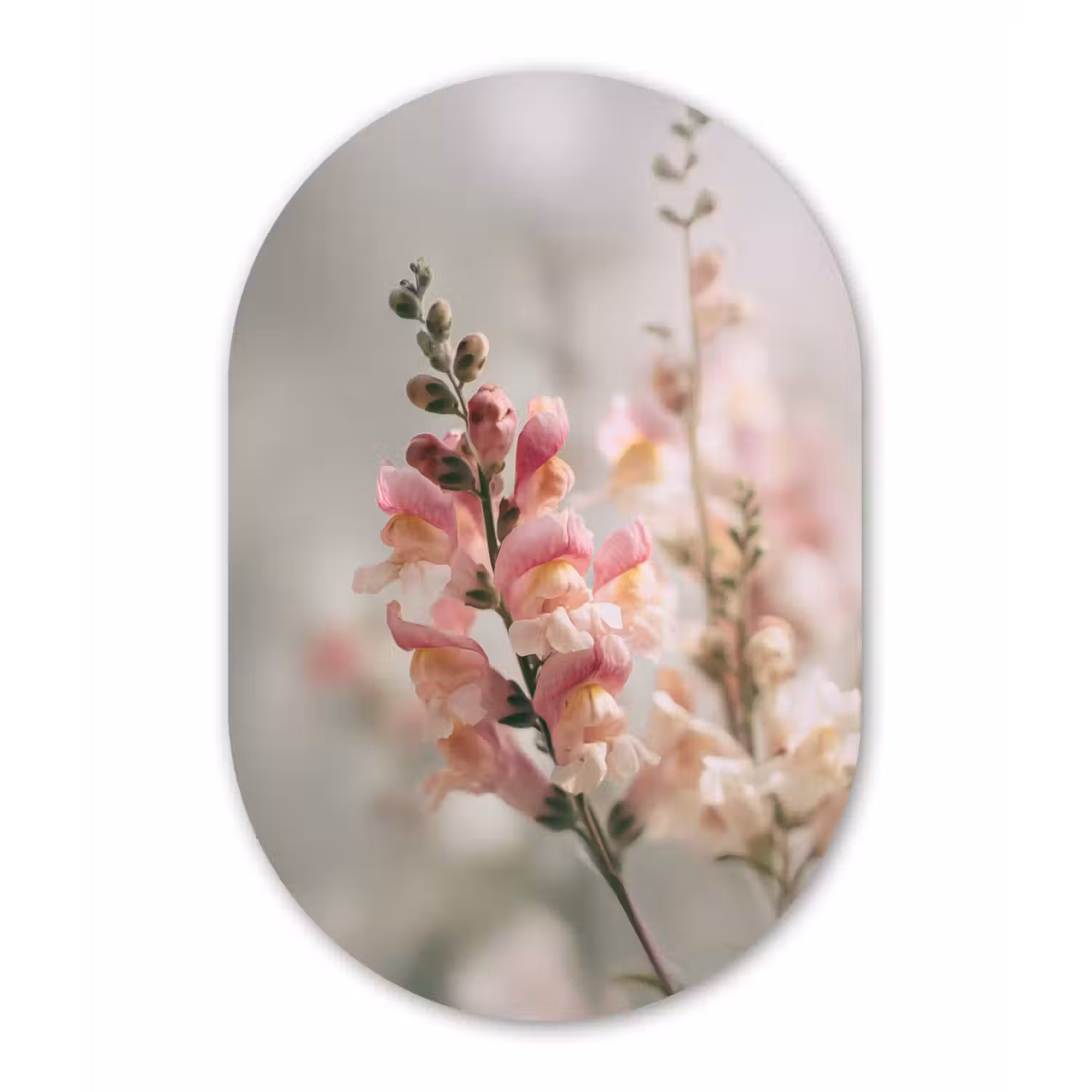 Bloem - Leeuwenbek - Roze - Stengel Wandcirkel Ovaal Forex klein -3d