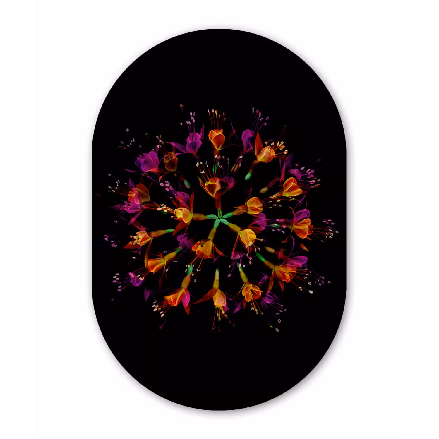 Bloemen - Oranje - Roze - Zwart Wandcirkel Ovaal Forex klein -3d