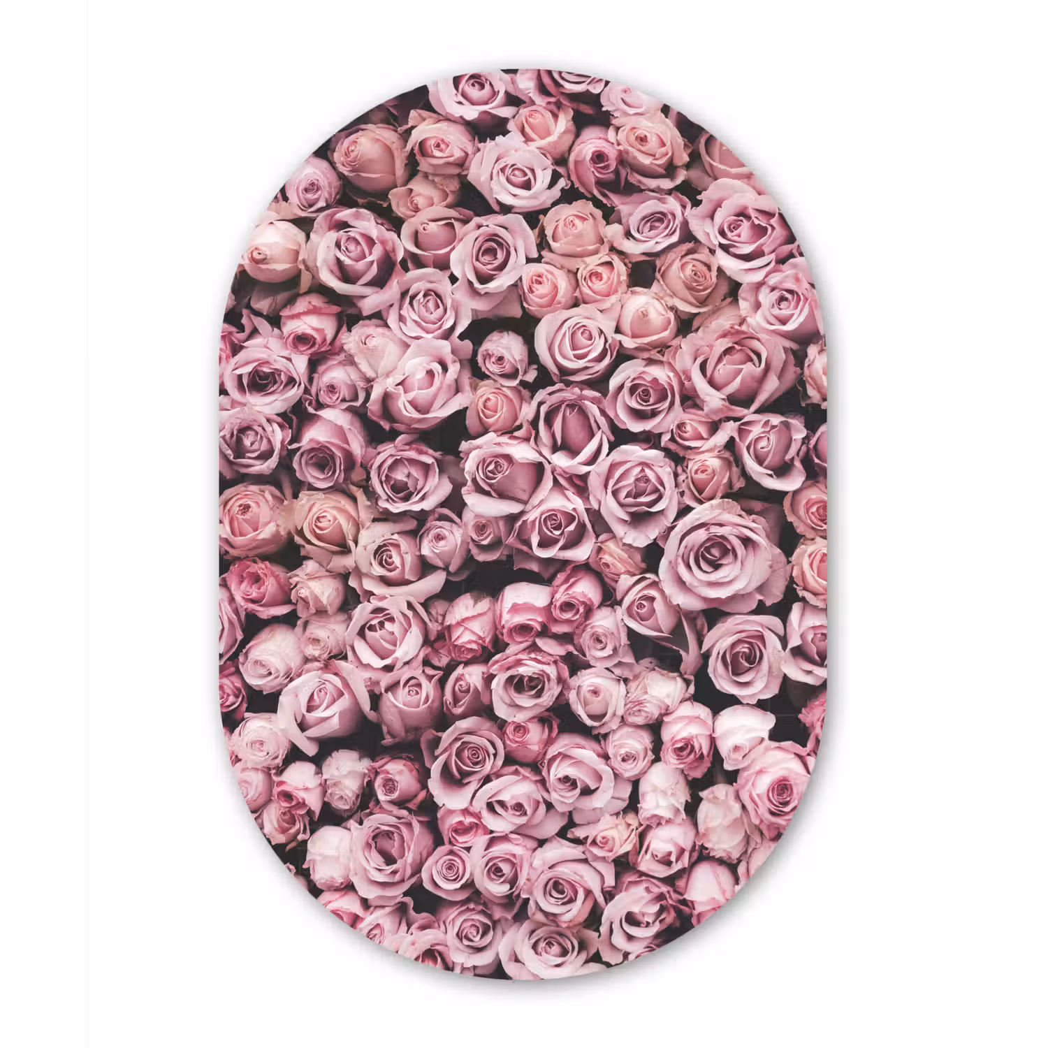 Bloemen - Rozen - Natuur - Roze - Botanisch Wandcirkel Ovaal Forex klein -3d