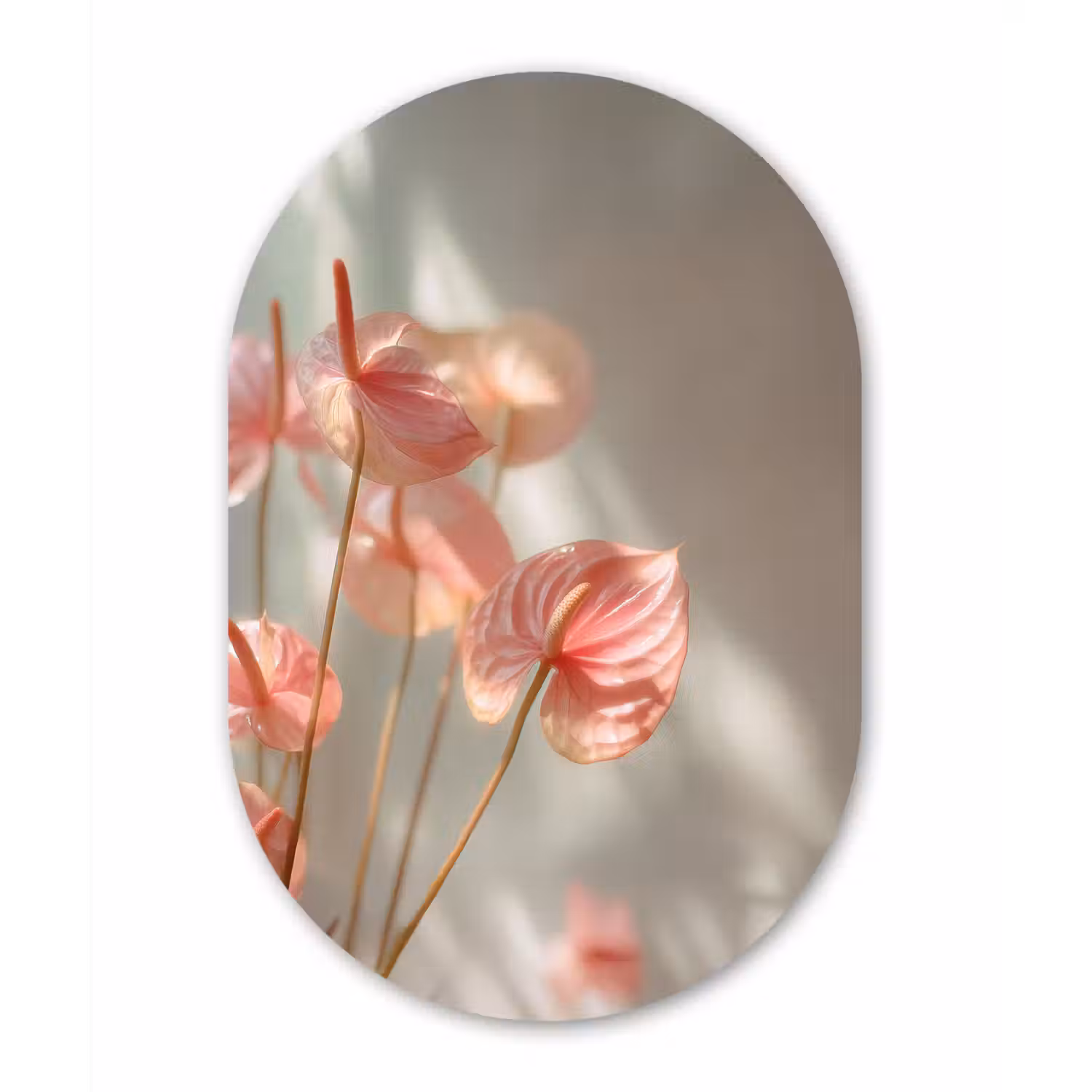 Bloemen - Stelen - Roze - Schaduw Wandcirkel Ovaal Forex klein -3d