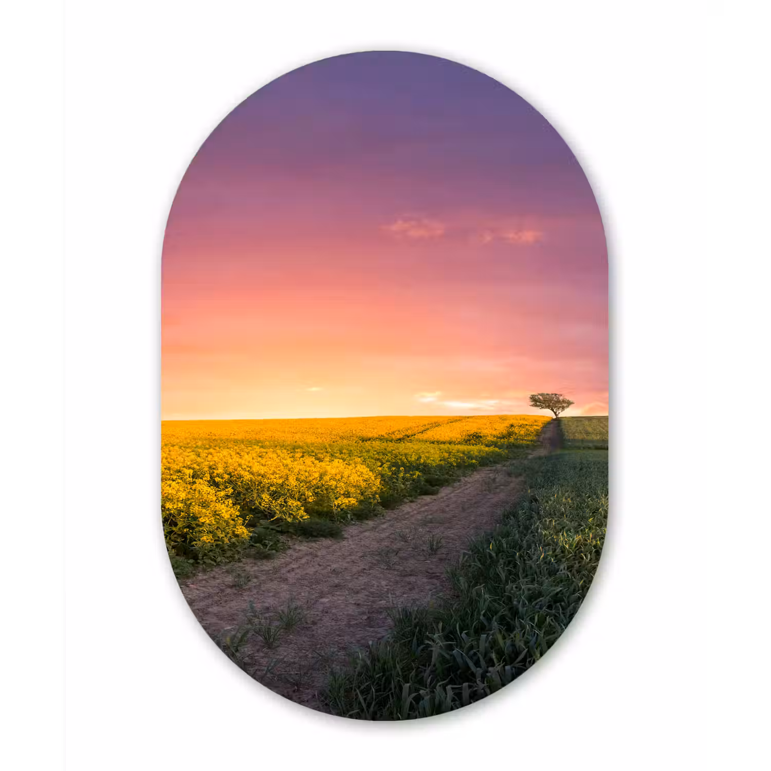 Bloemen - Weg - Lucht - Geel - Paars Wandcirkel Ovaal Forex klein -3d